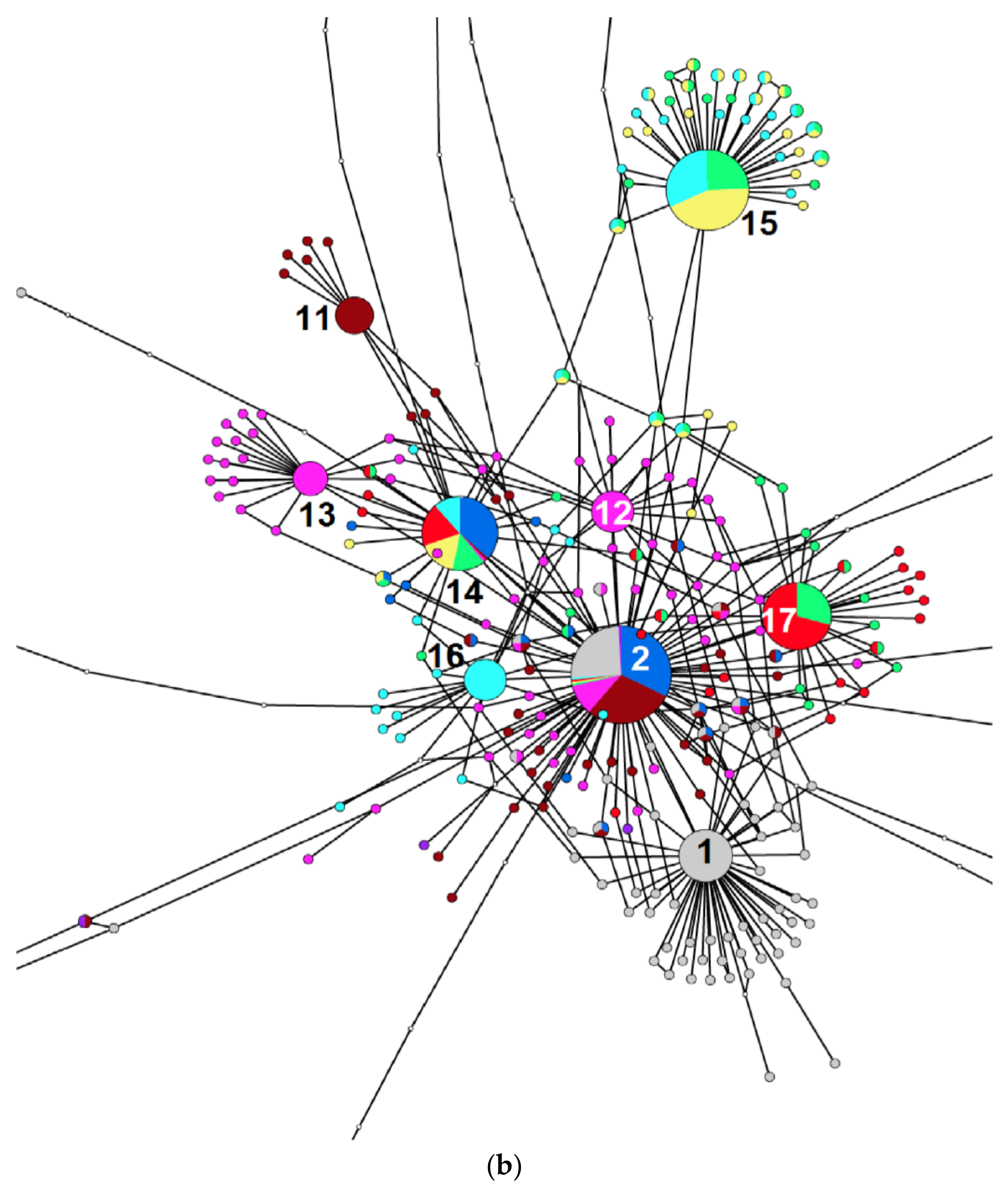 Diversity 15 00717 g003b