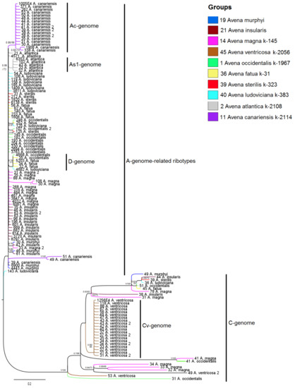 Diversity 15 00717 g004