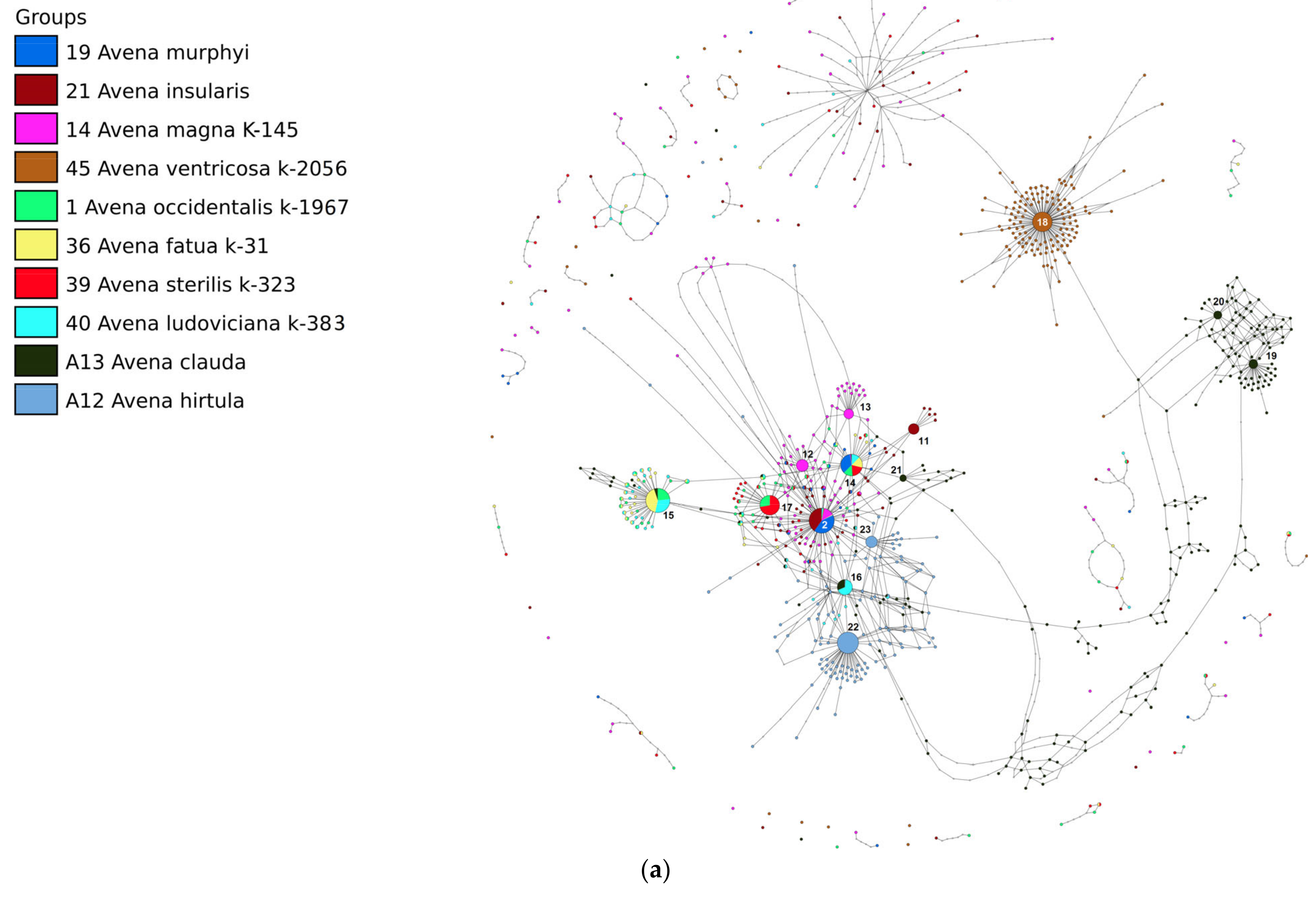 Diversity 15 00717 g005a