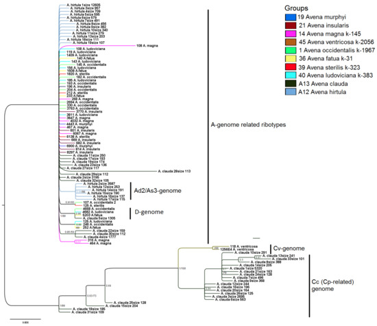 Diversity 15 00717 g006