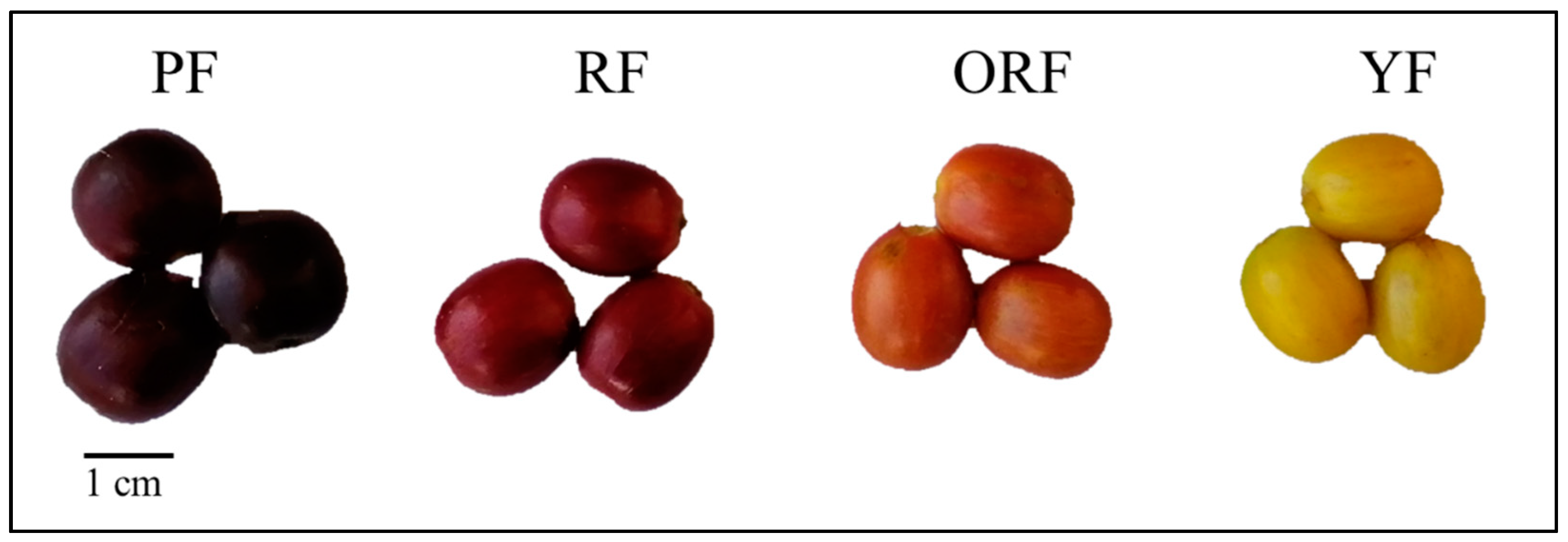 Diversity 15 00724 g001