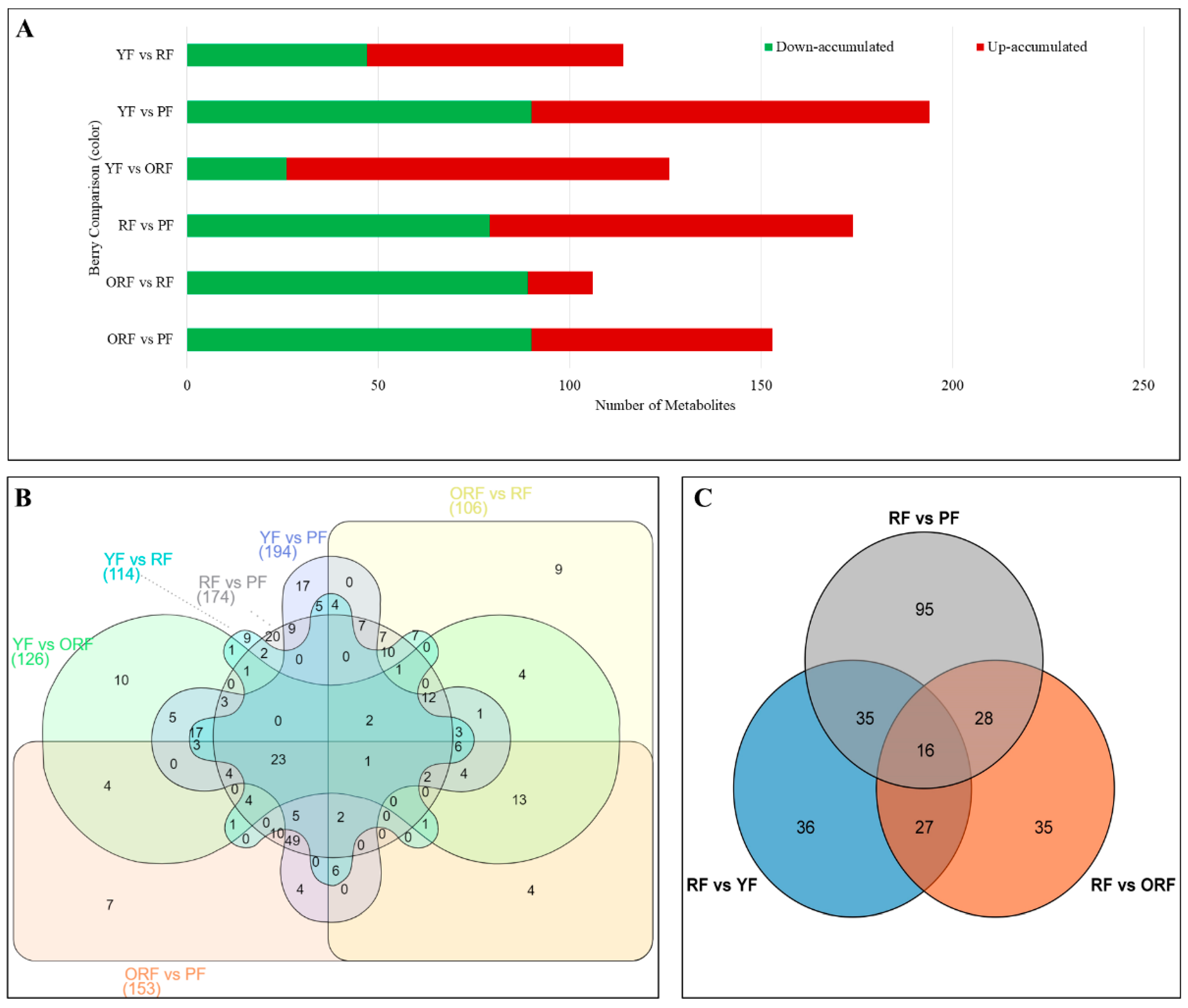 Diversity 15 00724 g005