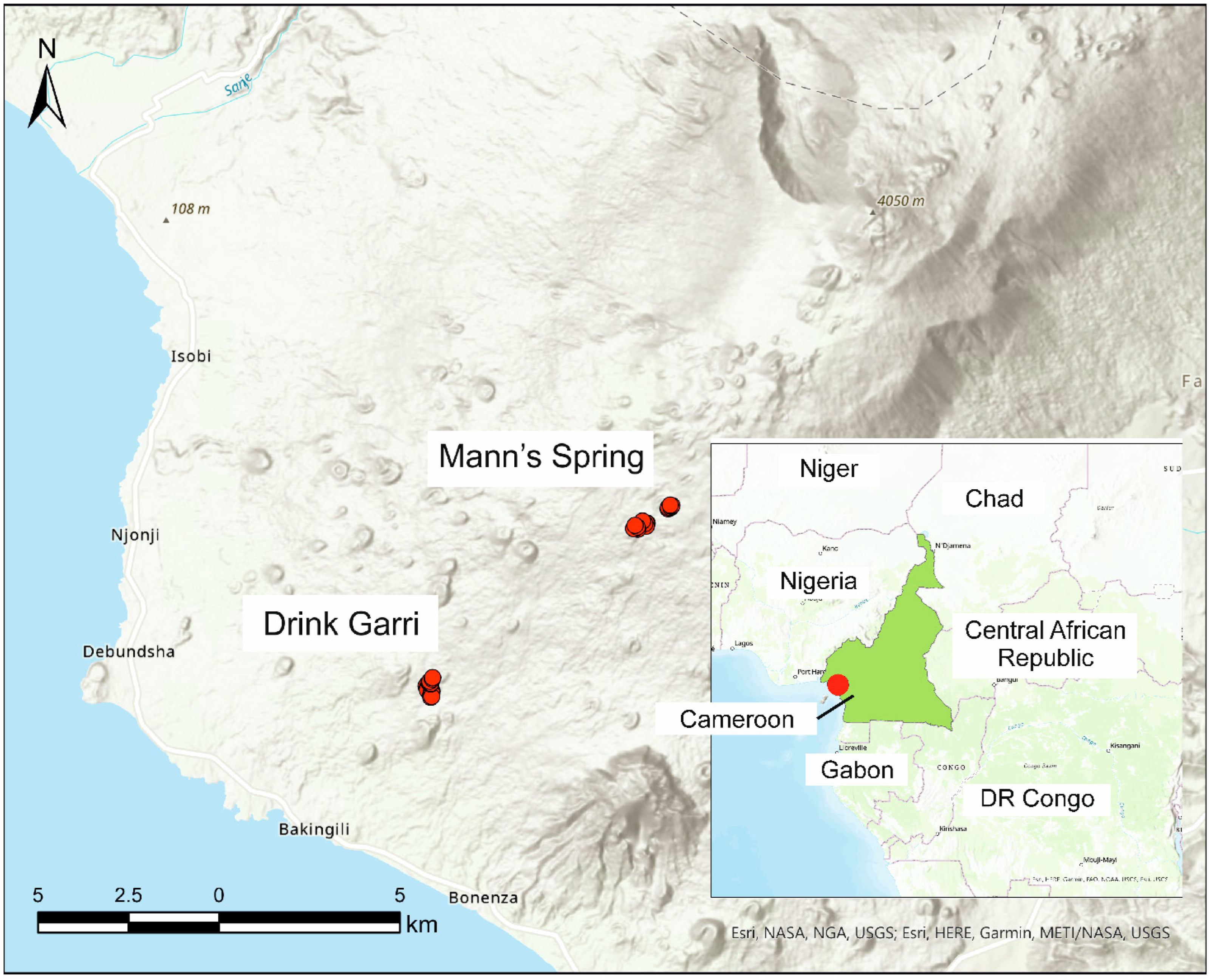 Diversity 15 00727 g001