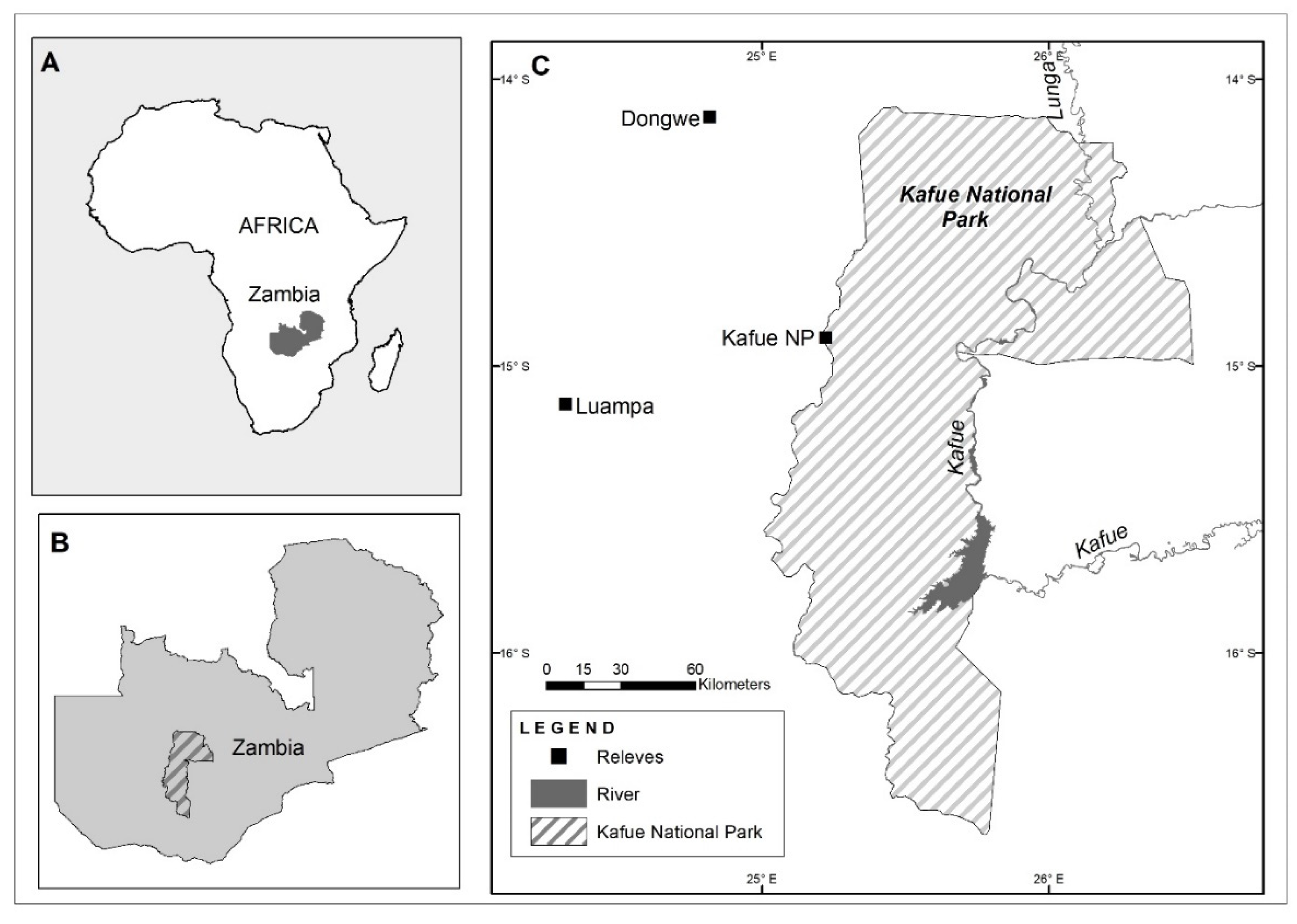 Diversity 15 00739 g001