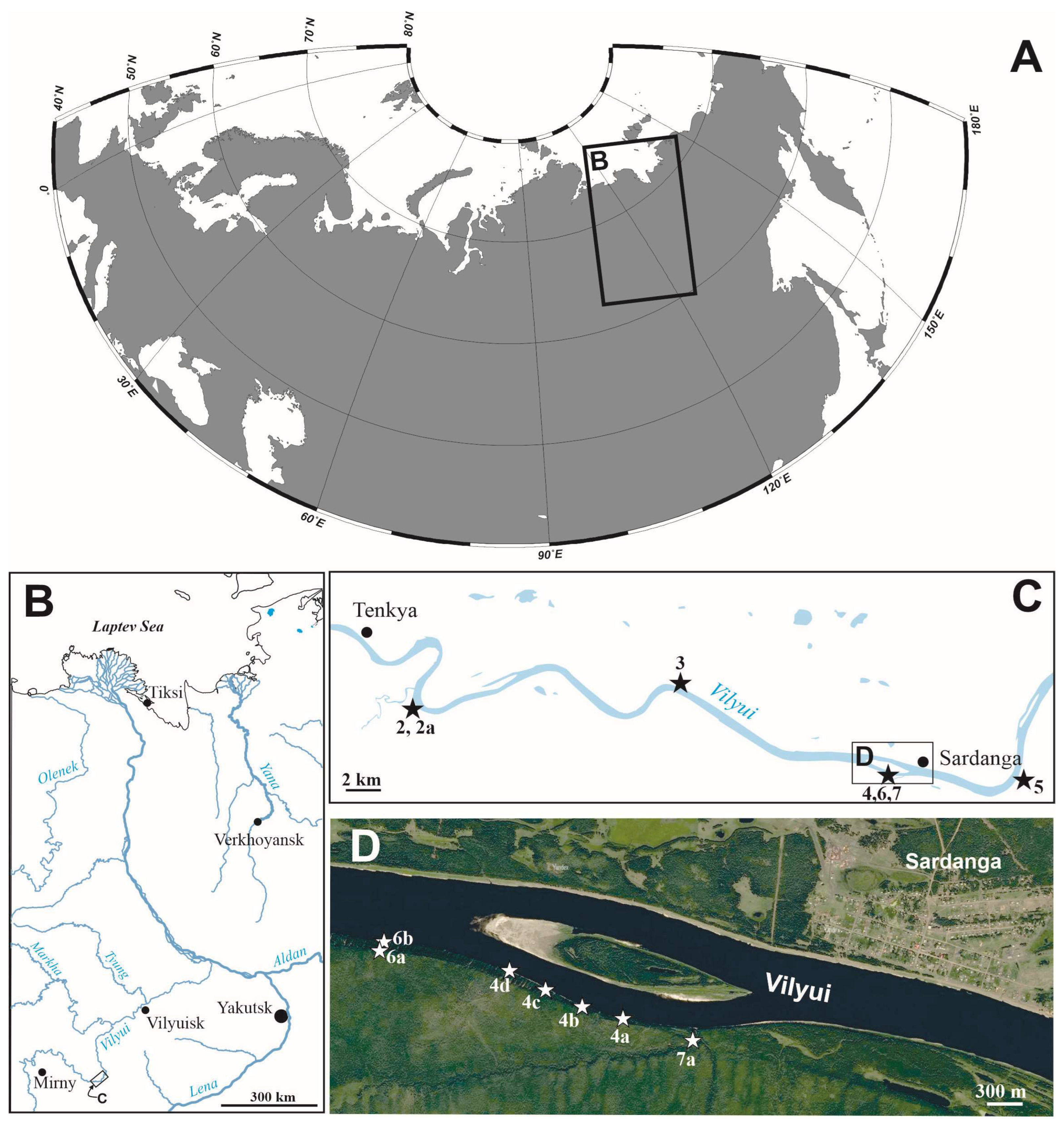 Diversity 15 00742 g001