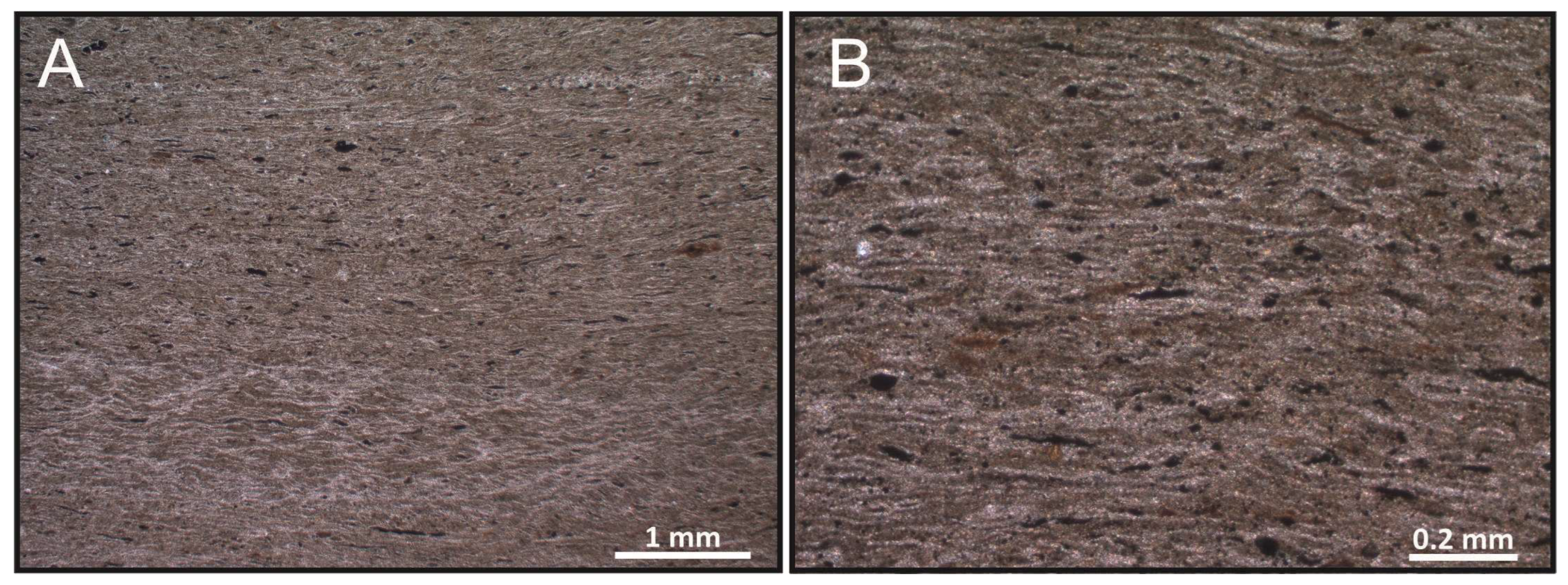 Diversity 15 00742 g005