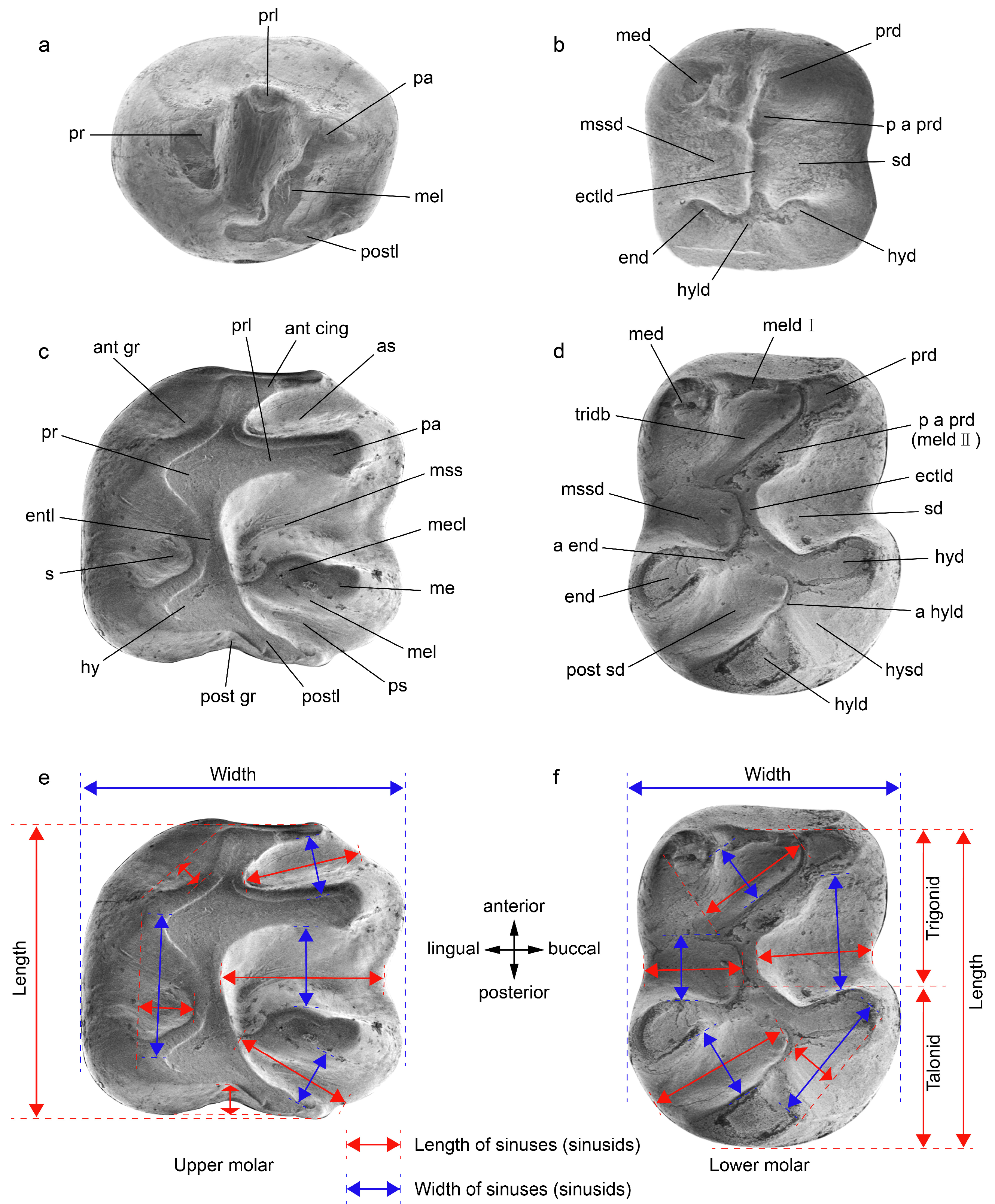 Diversity 15 00744 g002