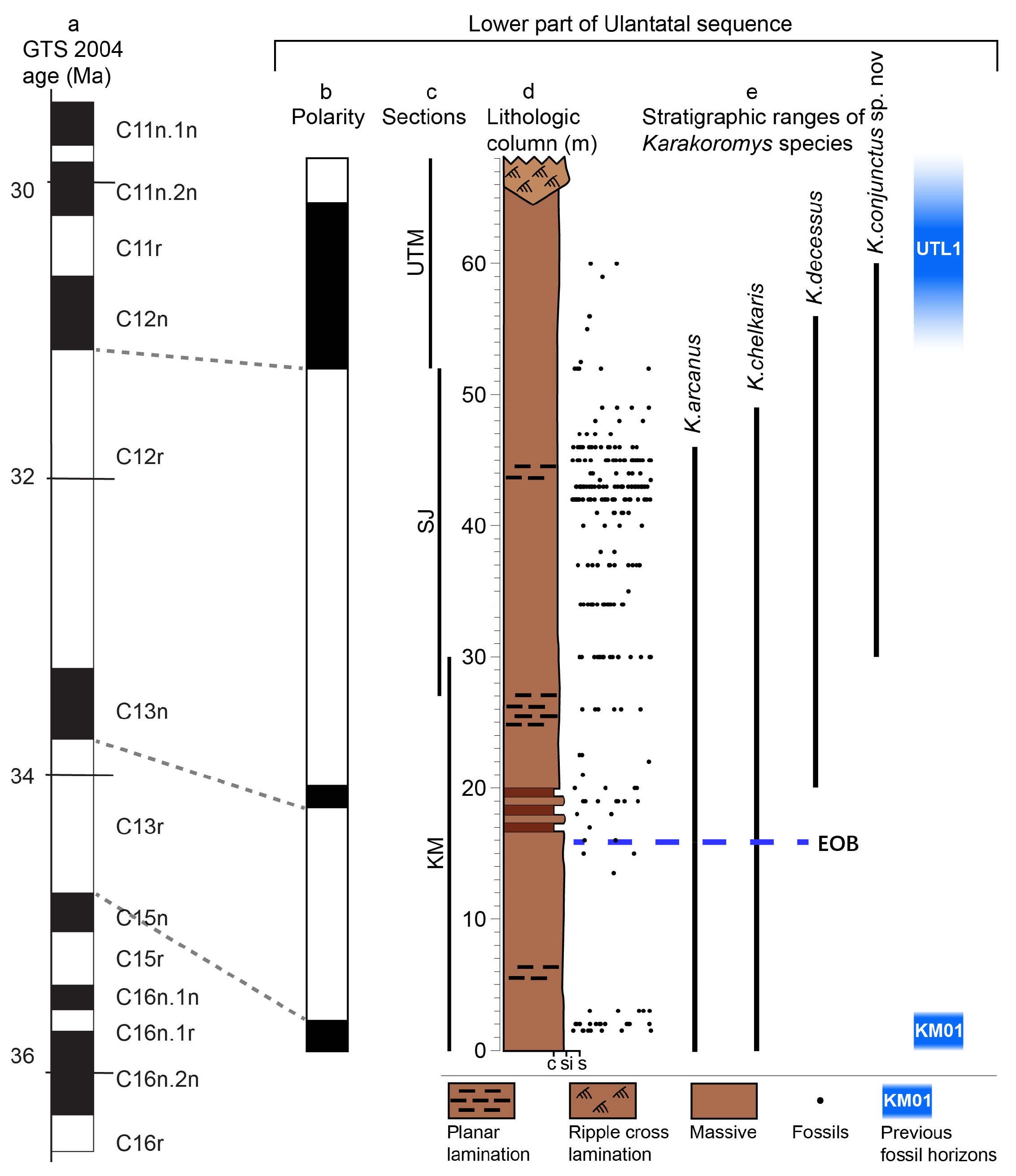 Diversity 15 00744 g004