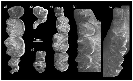 Diversity 15 00744 g0a1