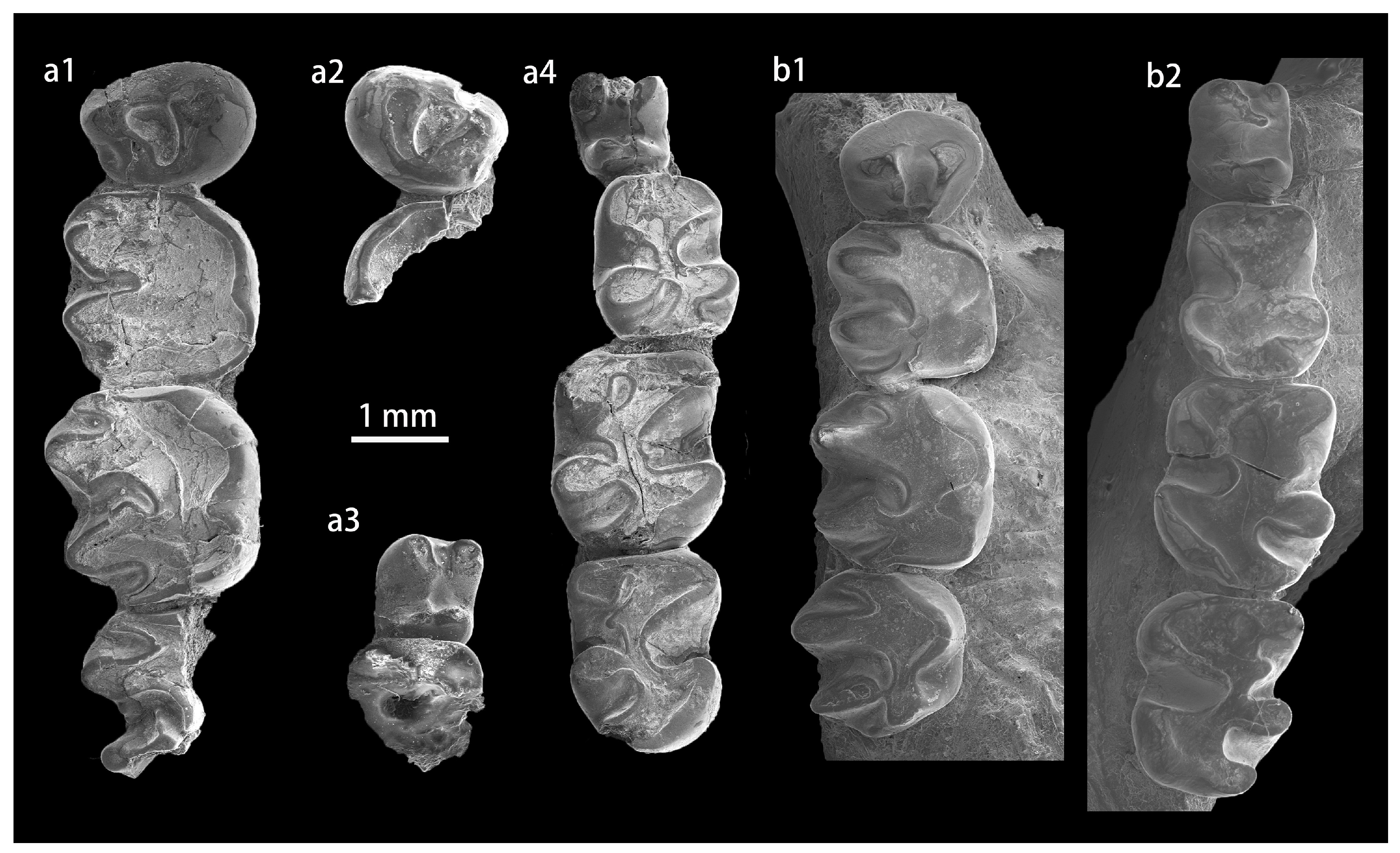 Diversity 15 00744 g0a1