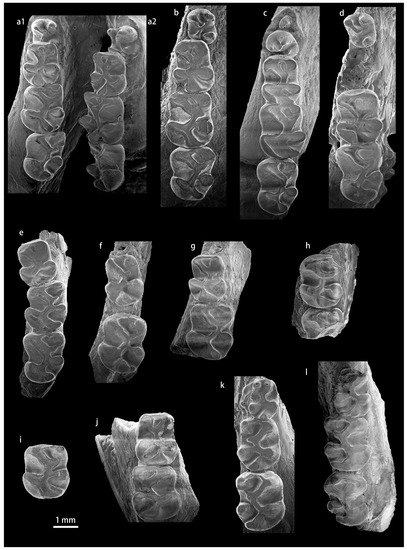 Diversity 15 00744 g0a10