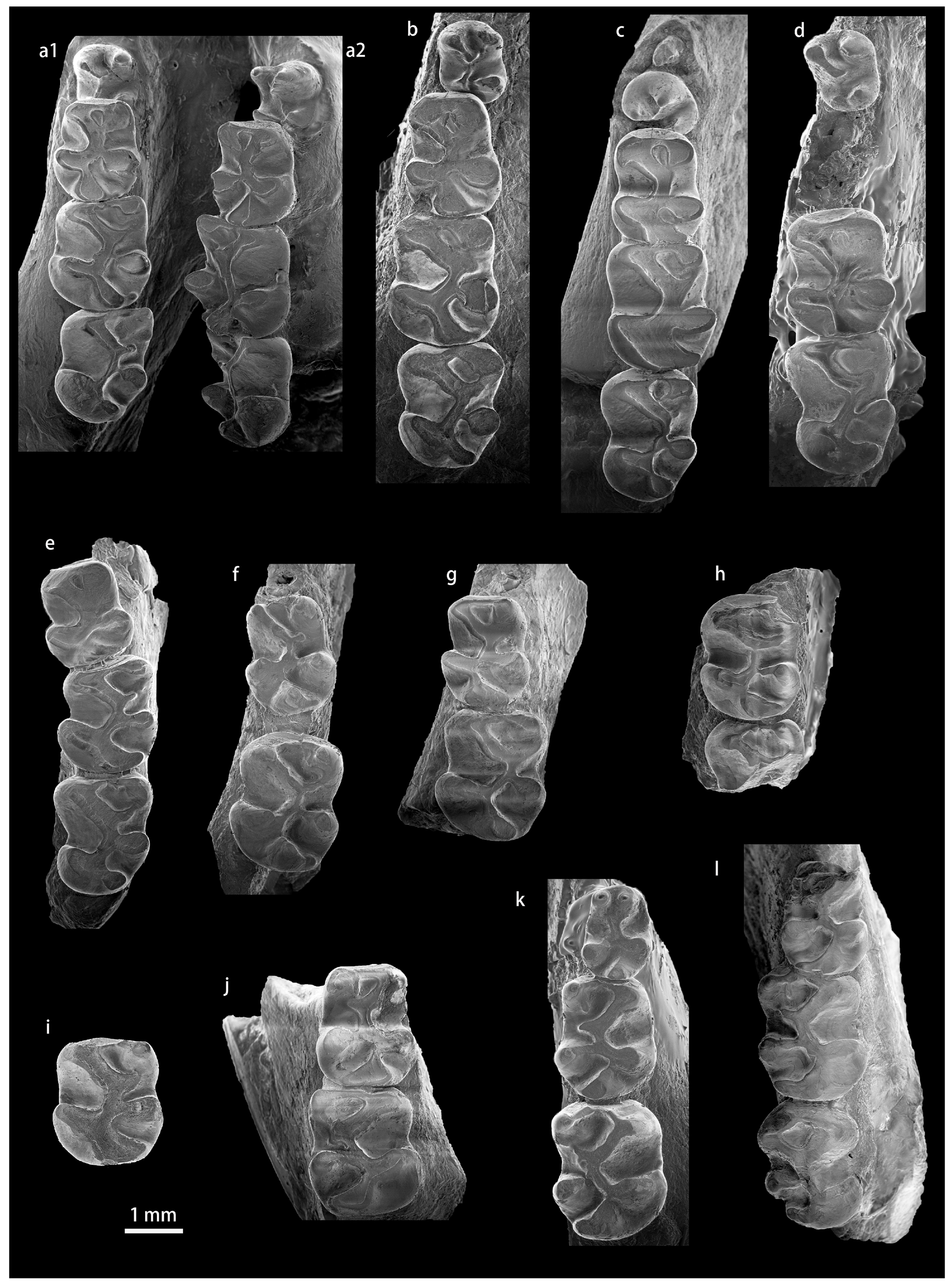 Diversity 15 00744 g0a10