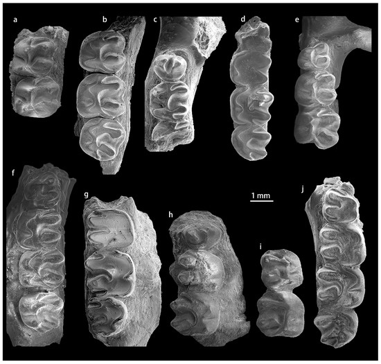 Diversity 15 00744 g0a2