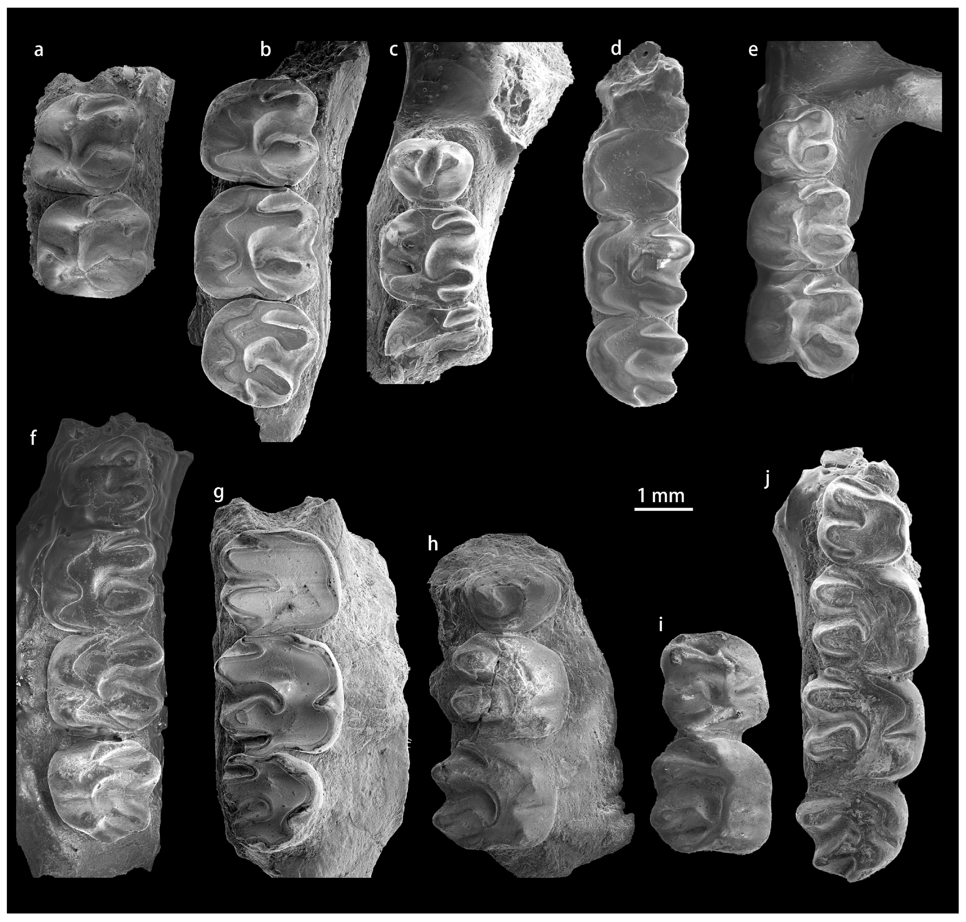 Diversity 15 00744 g0a2