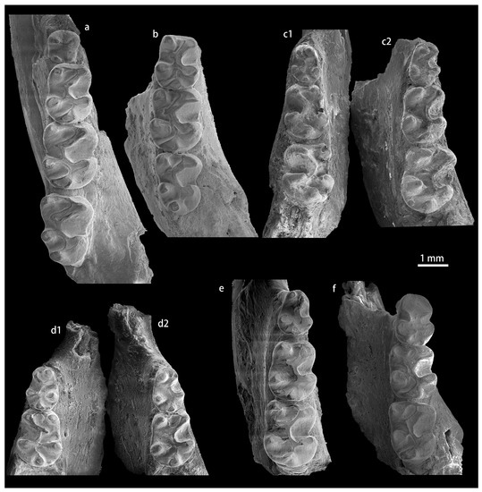 Diversity 15 00744 g0a3