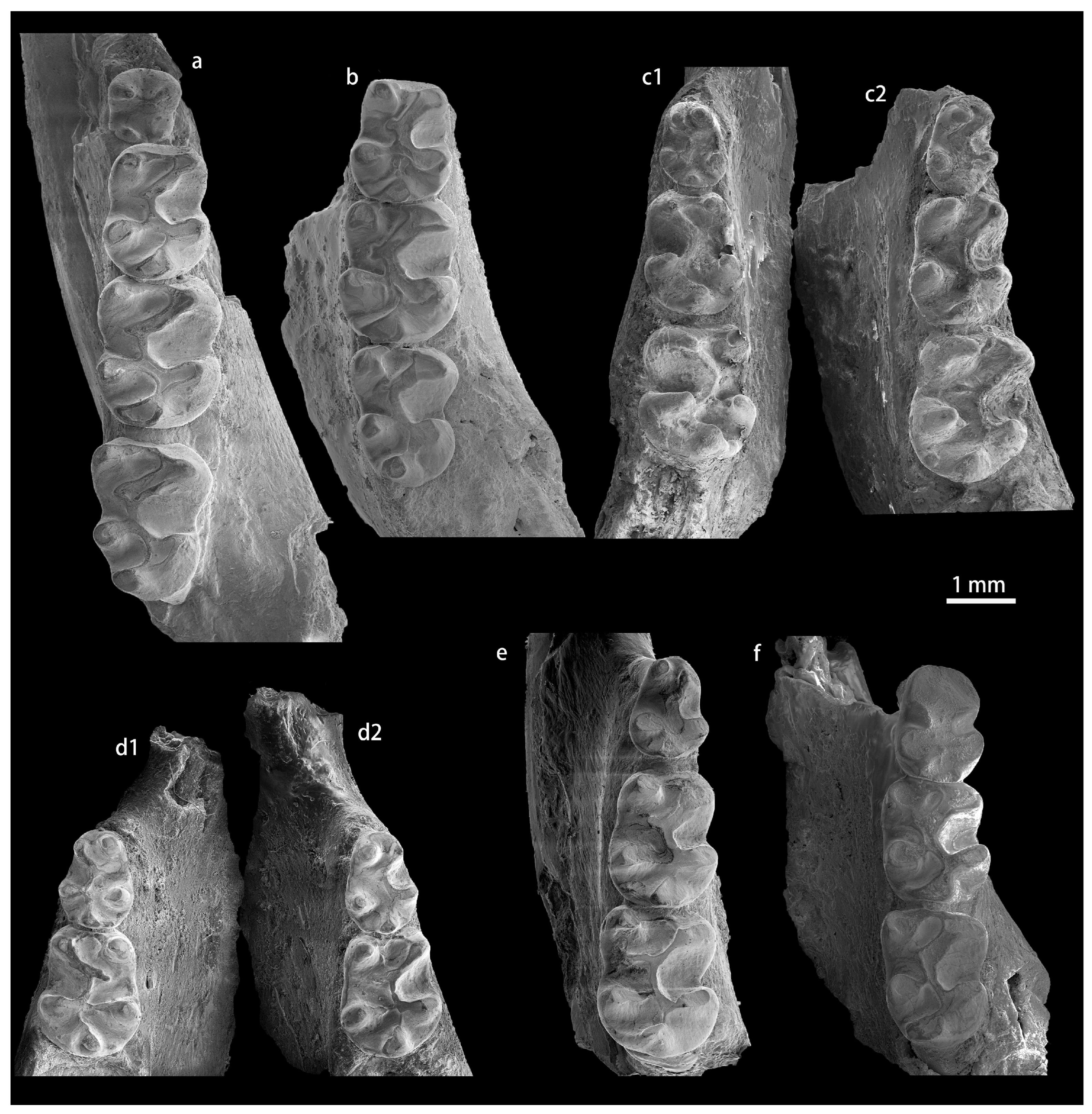 Diversity 15 00744 g0a3