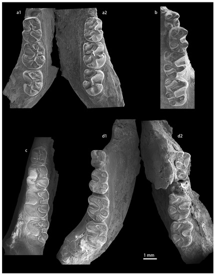 Diversity 15 00744 g0a4