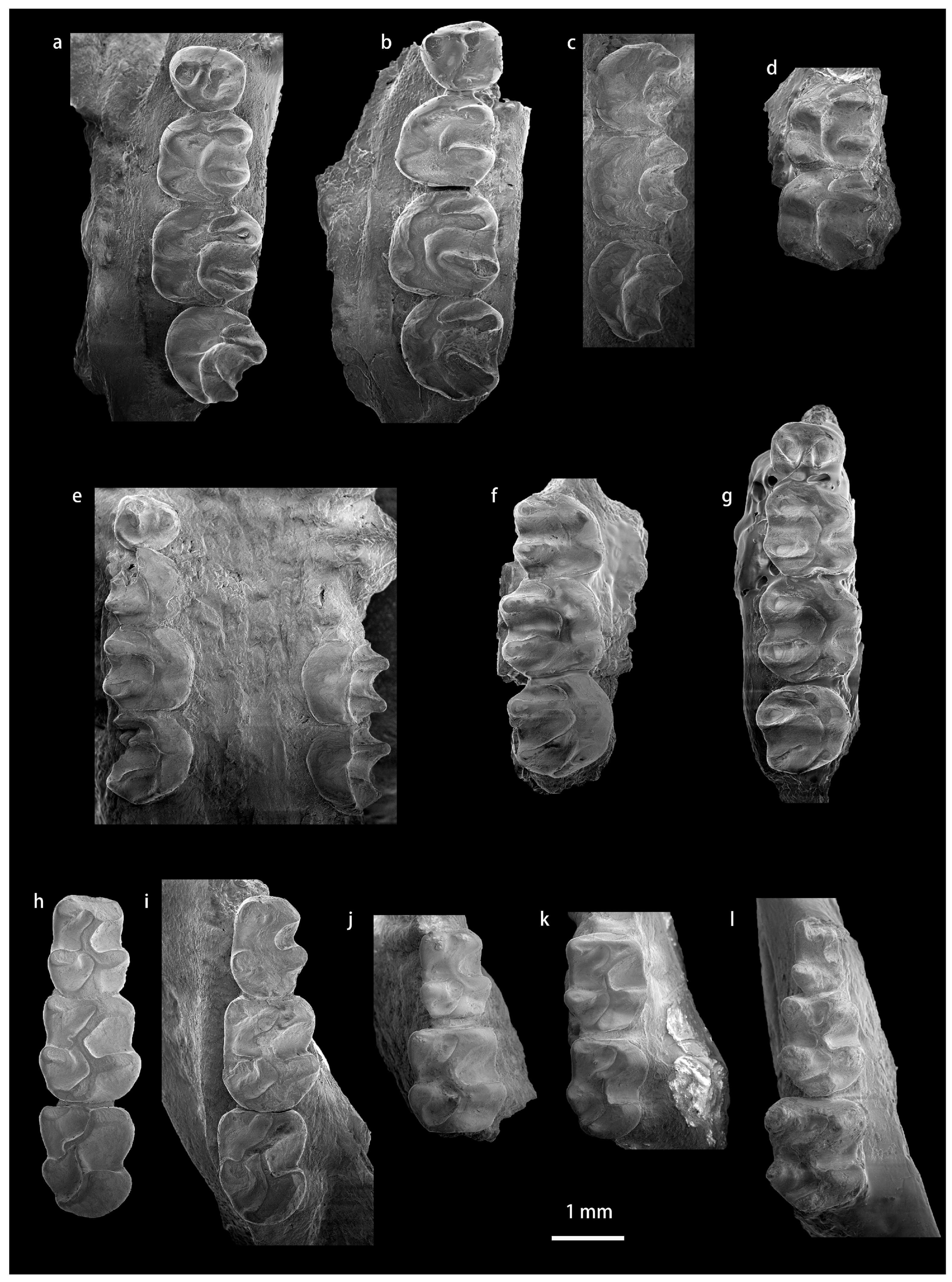 Diversity 15 00744 g0a7