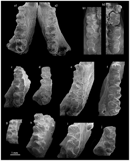 Diversity 15 00744 g0a8