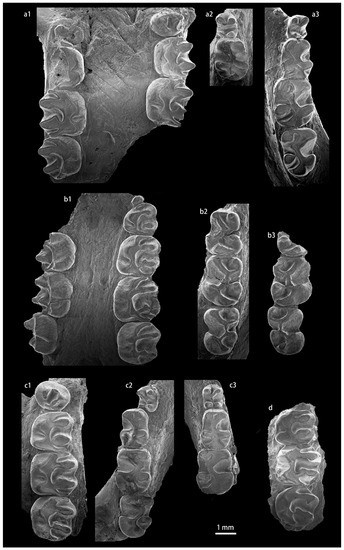 Diversity 15 00744 g0a9