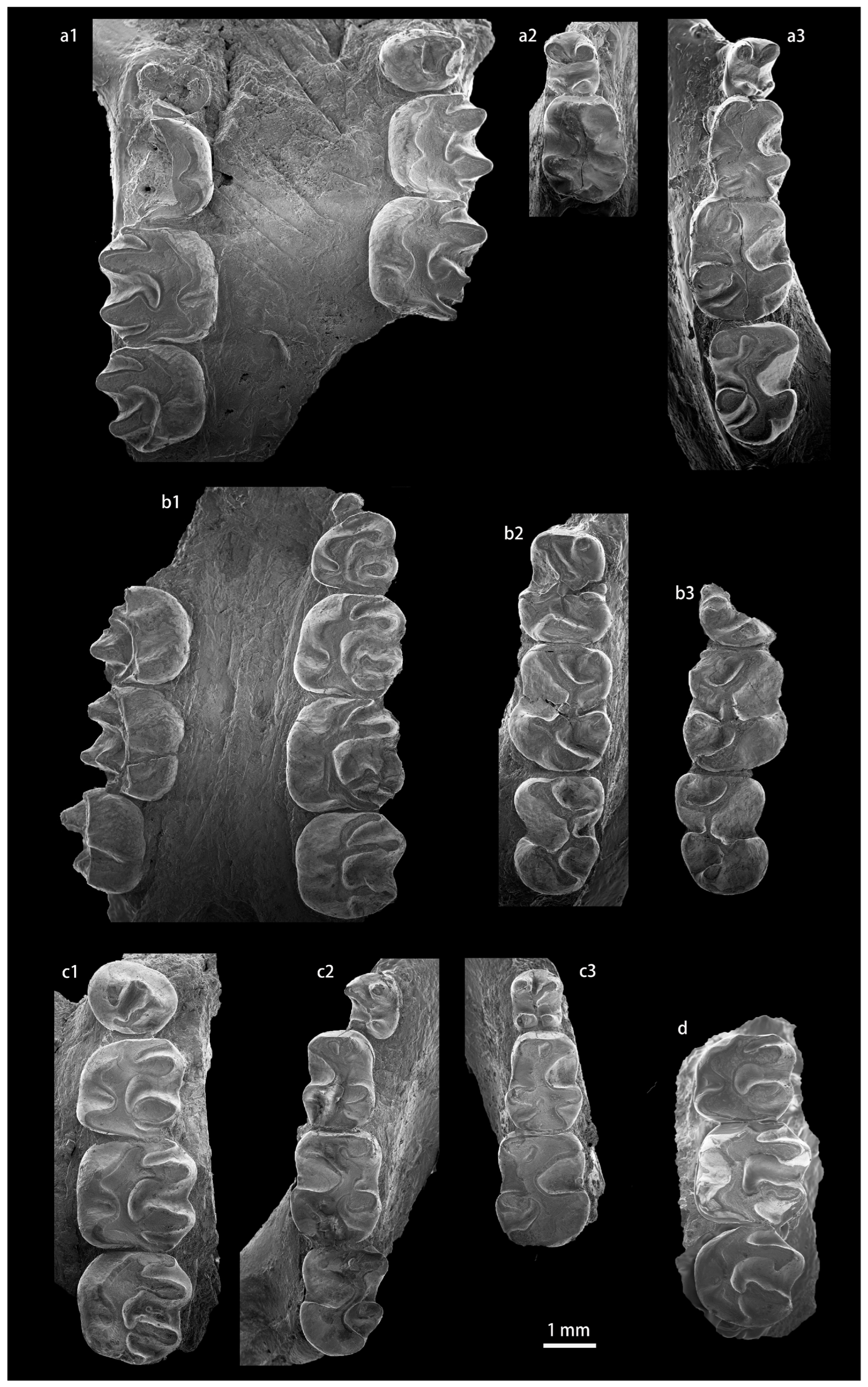 Diversity 15 00744 g0a9
