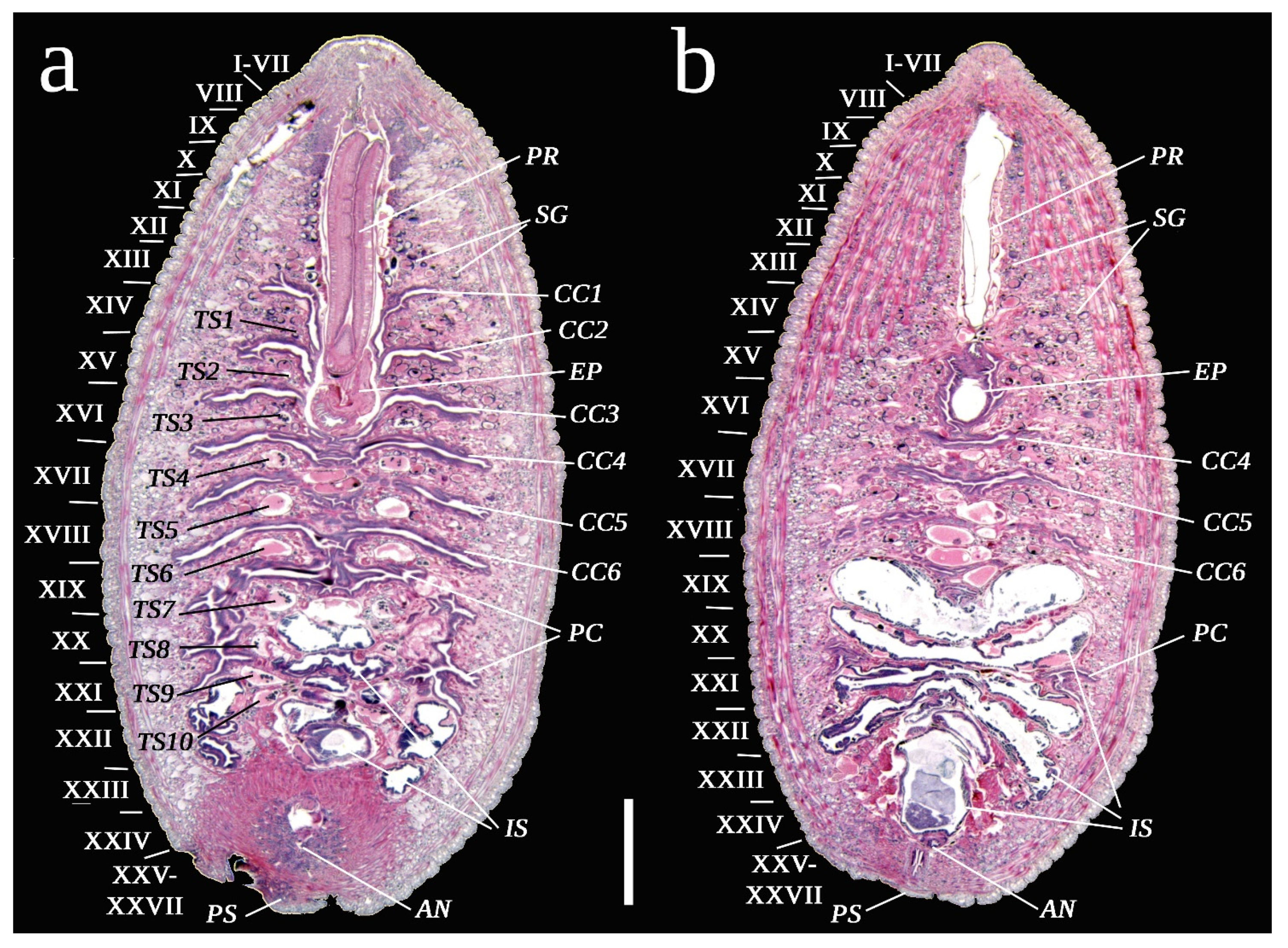Diversity 15 00756 g008