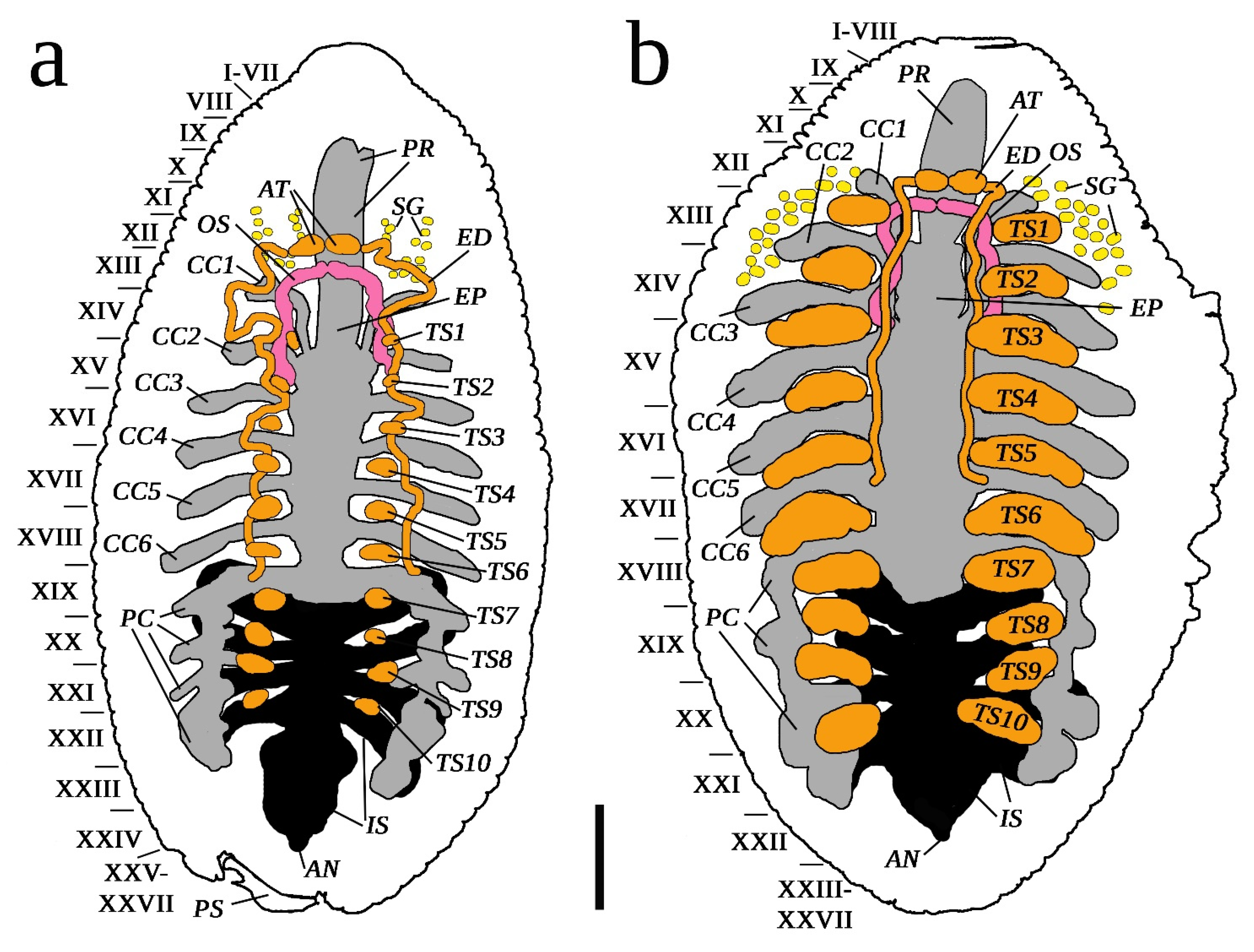 Diversity 15 00756 g010