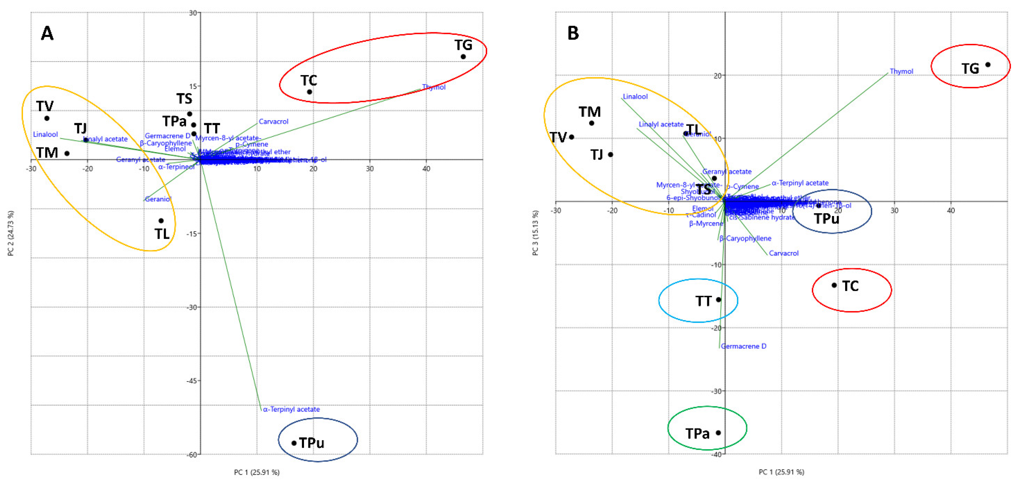 Diversity 15 00759 g002