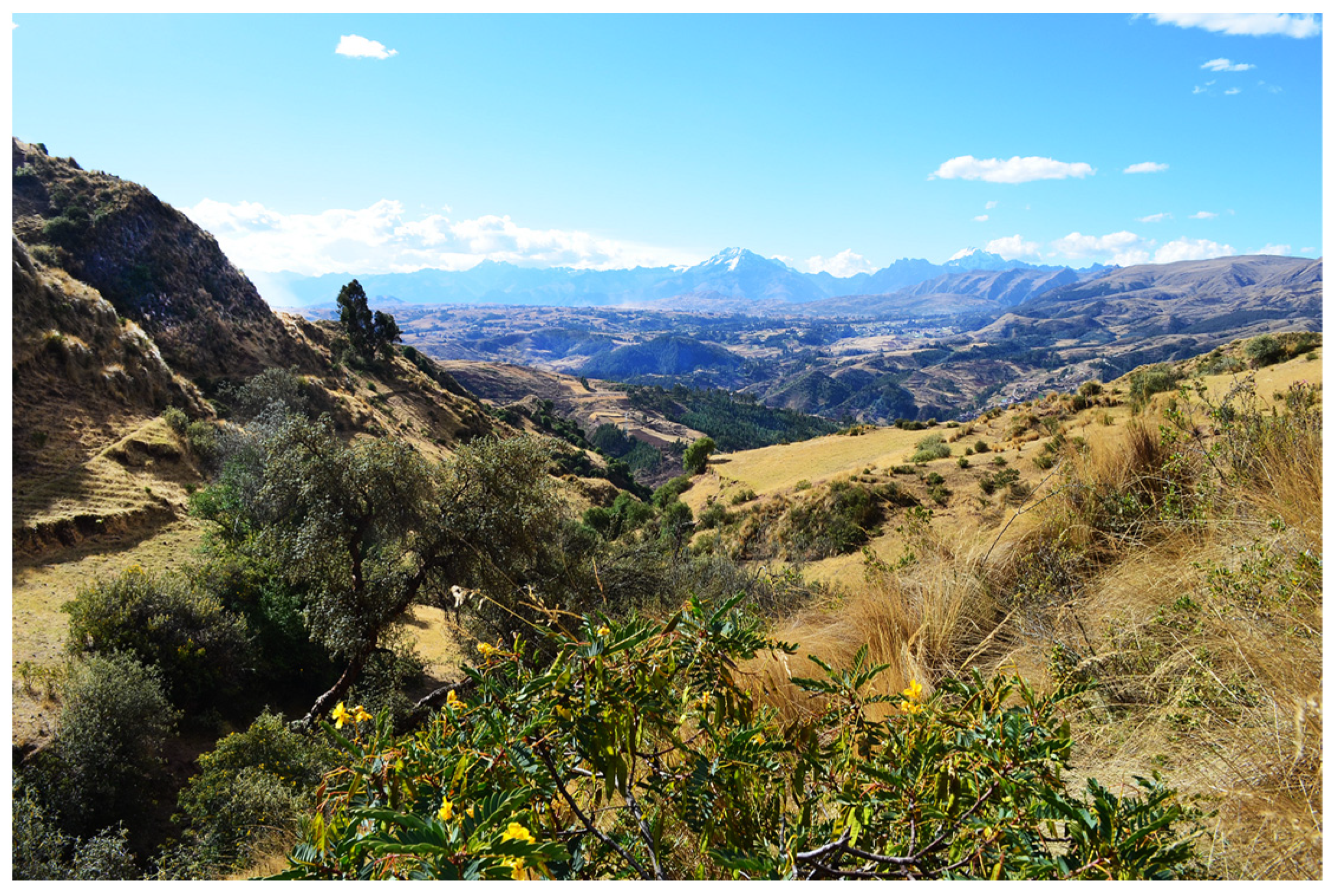 Diversity 15 00760 g002