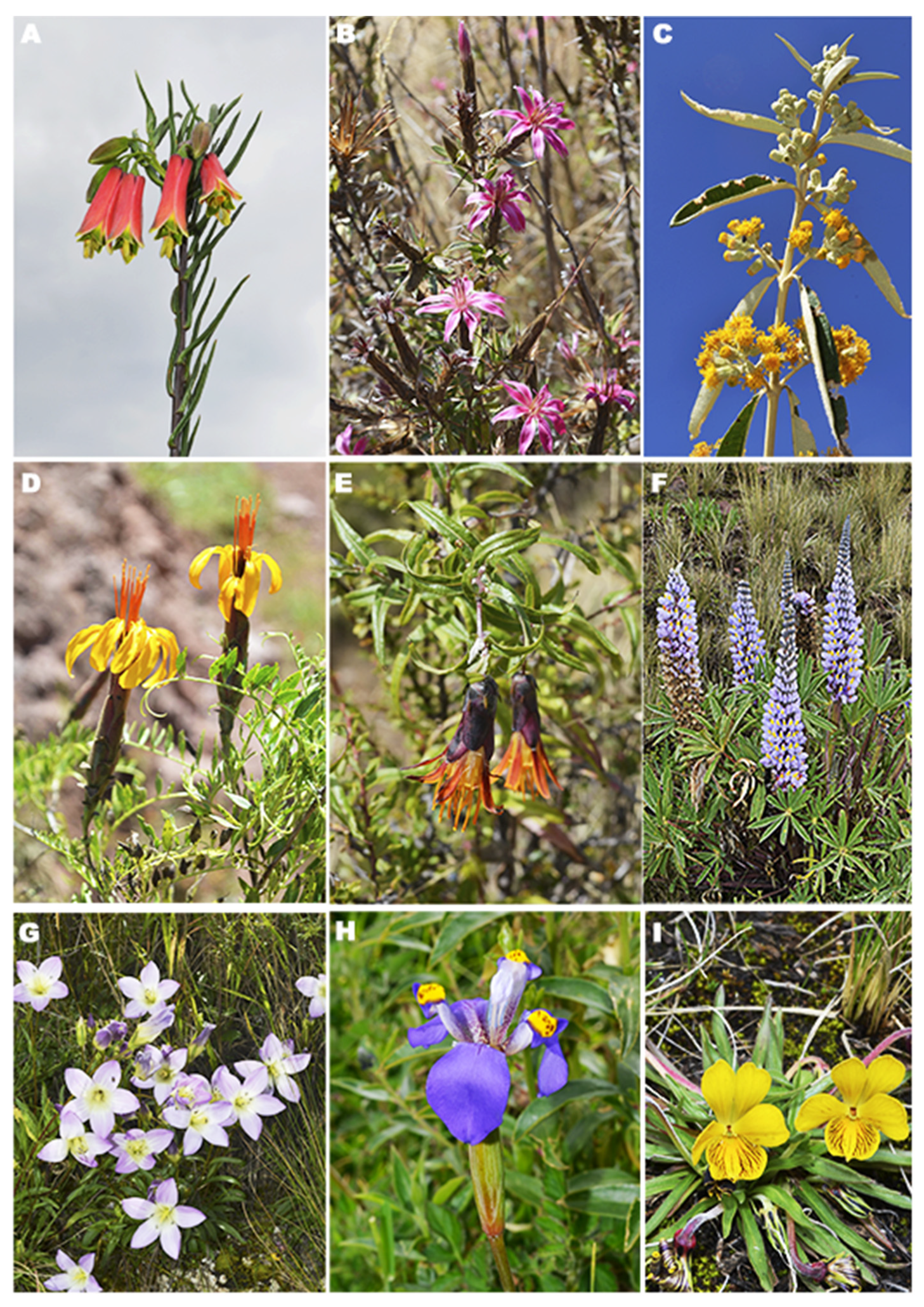 Diversity 15 00760 g003