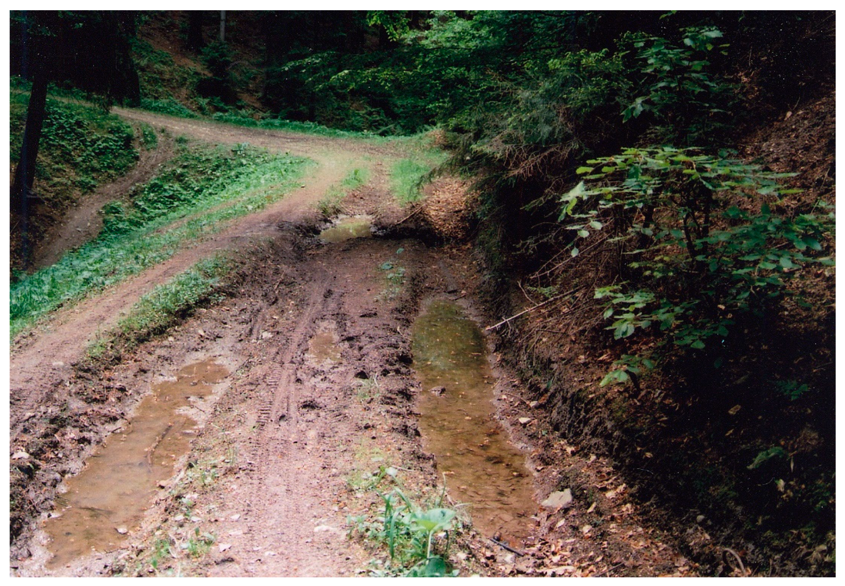 Diversity 15 00762 g002