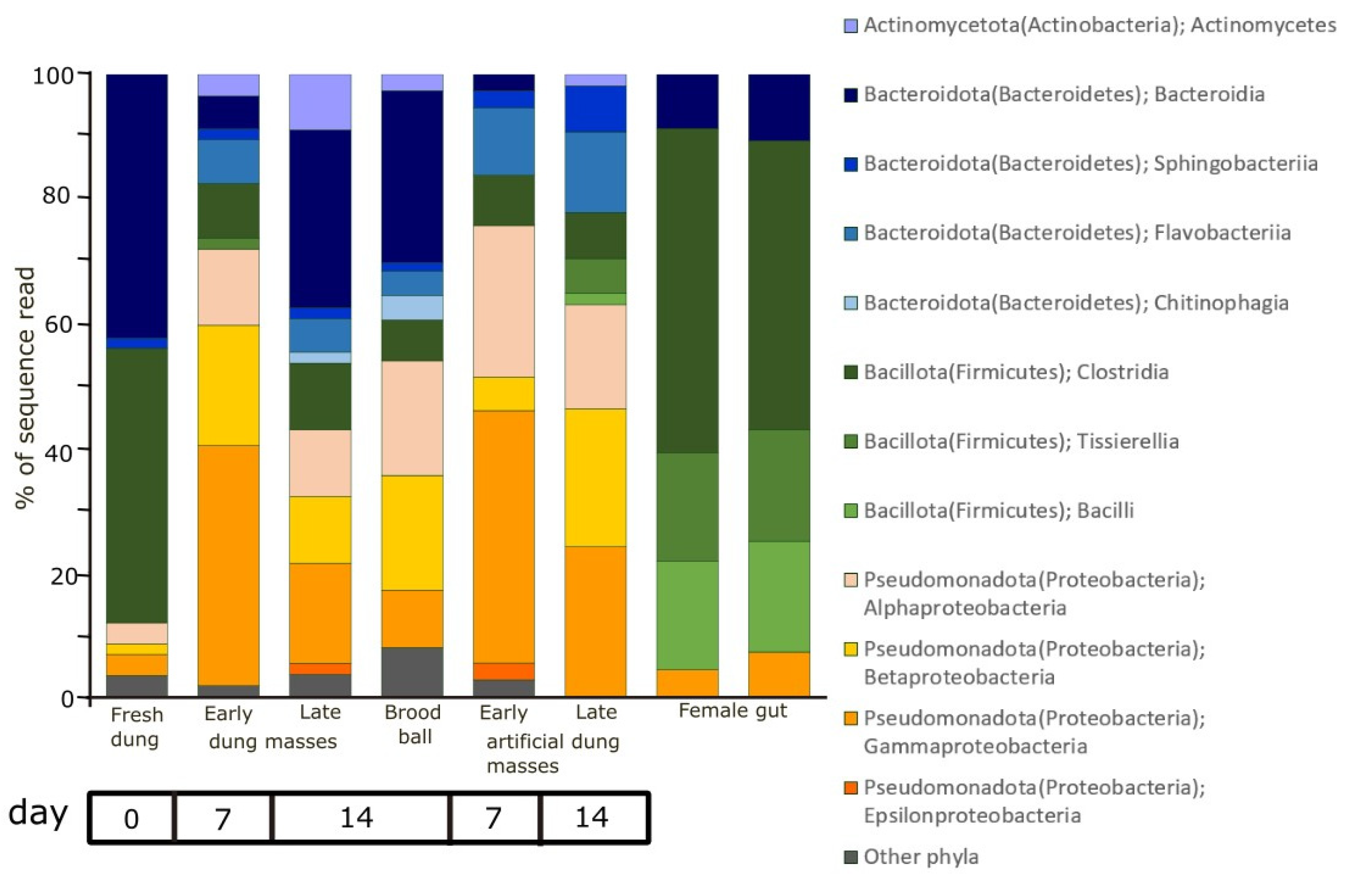 Diversity 15 00767 g004
