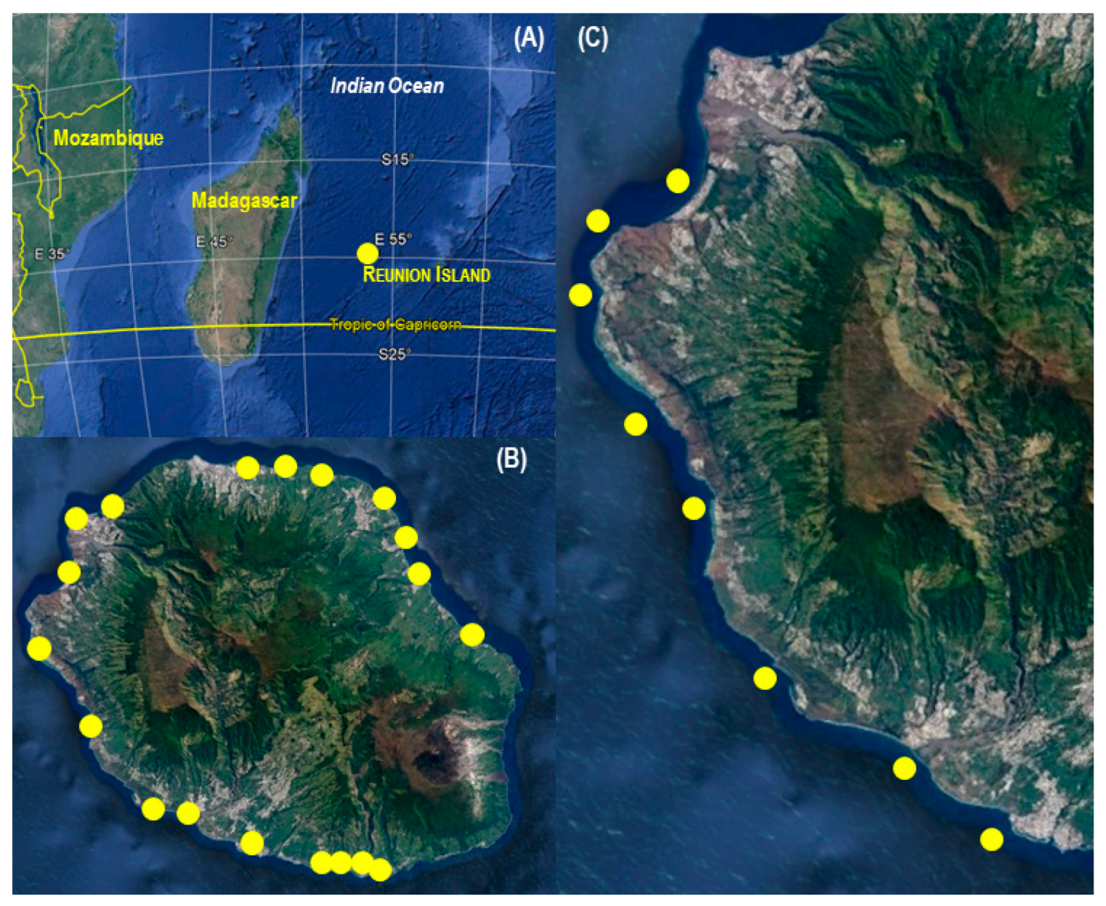 Diversity 15 00768 g001