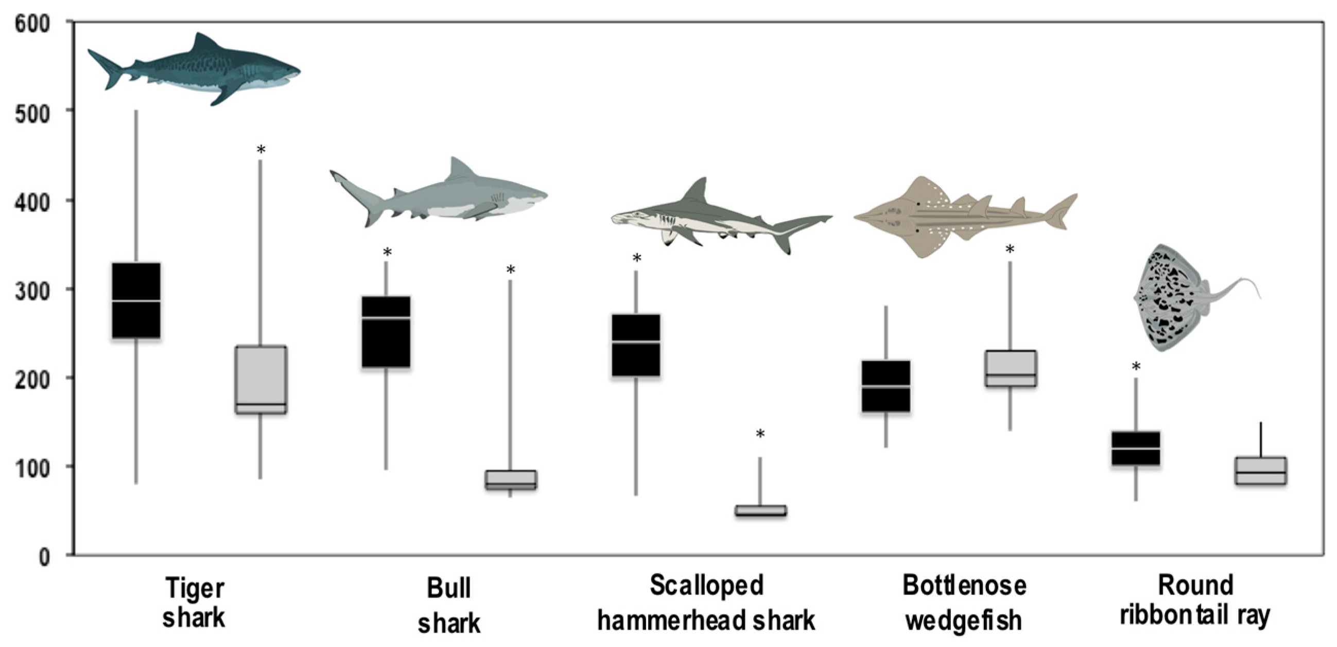 Diversity 15 00768 g002