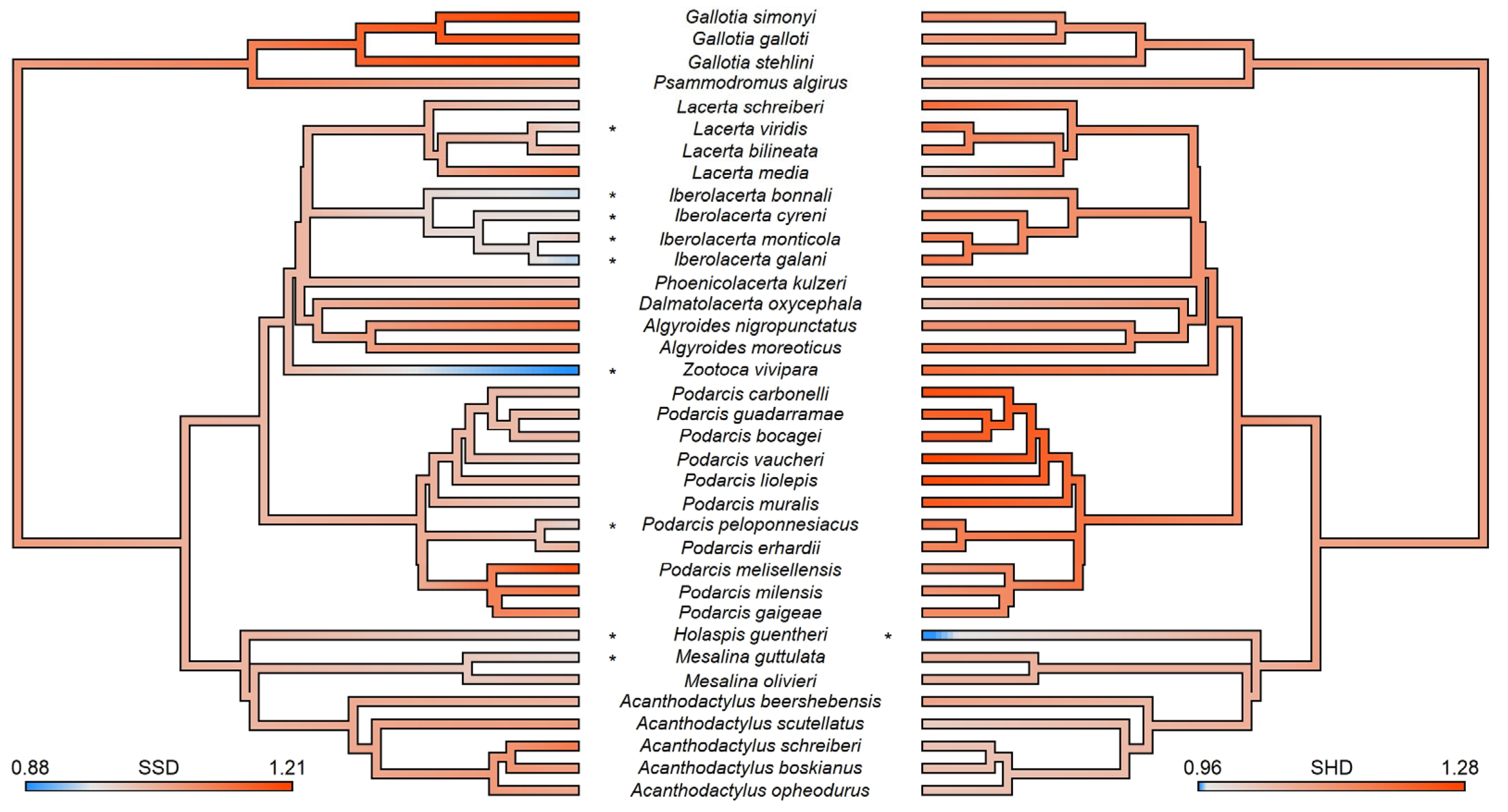 Diversity 15 00777 g001