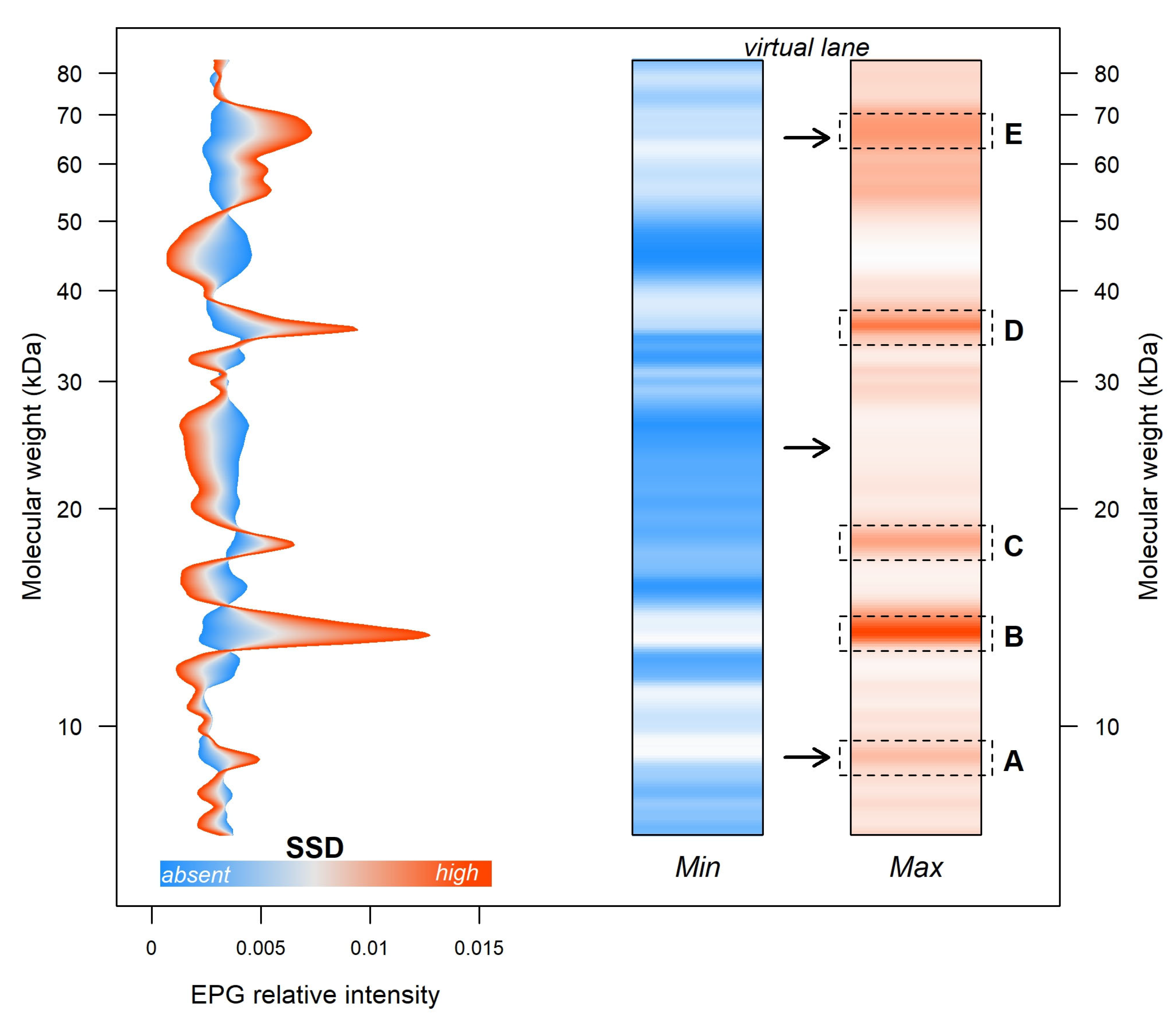 Diversity 15 00777 g003