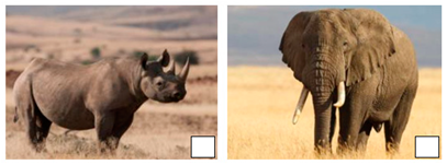 Diversity 15 00781 i001