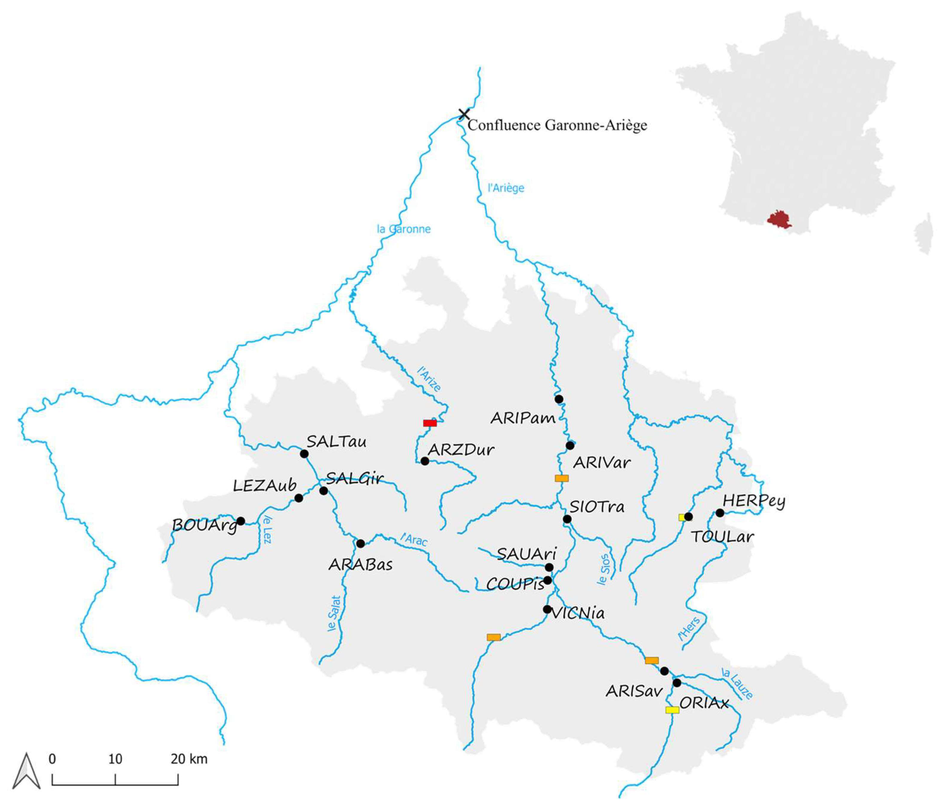 Diversity 15 00784 g001