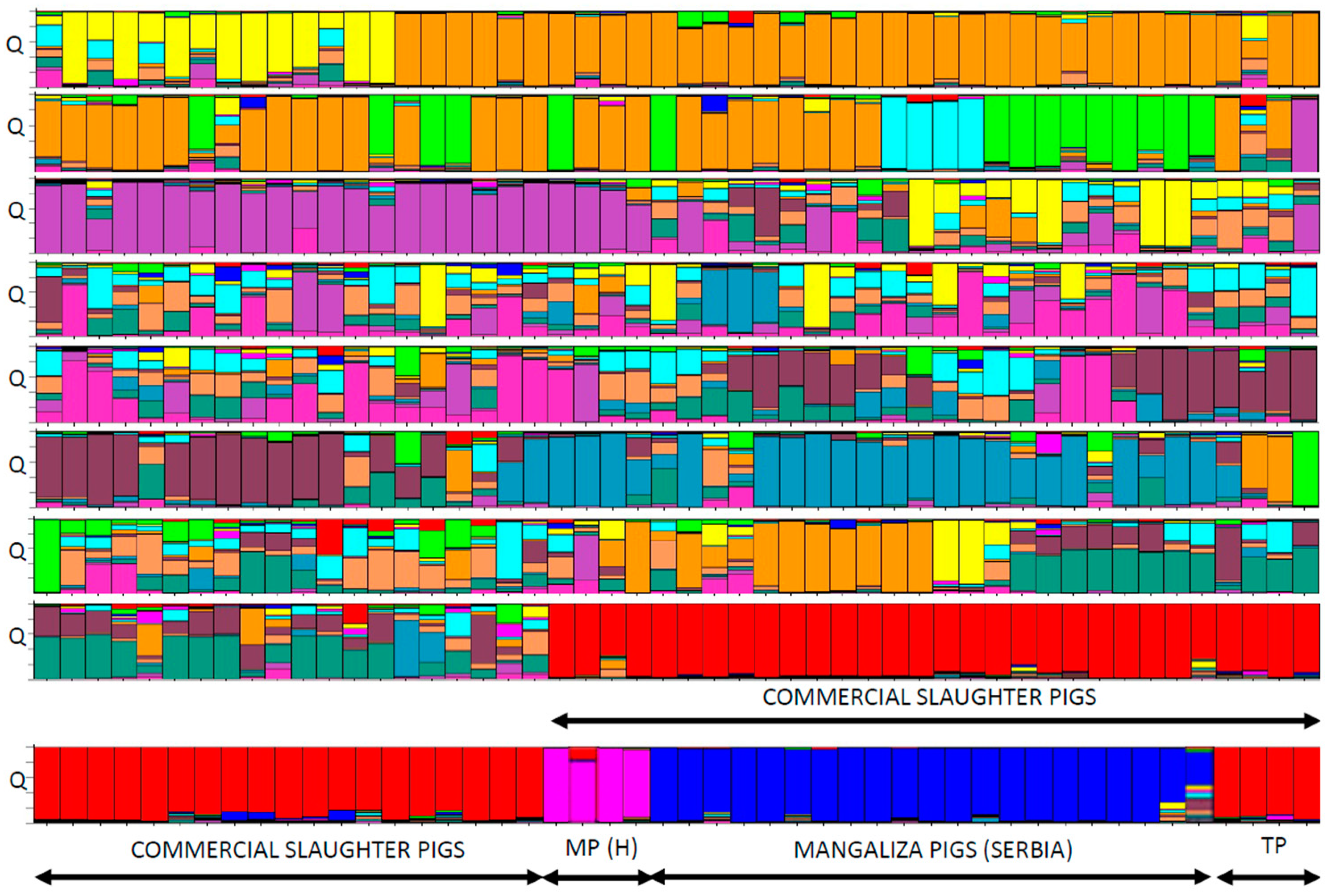 Diversity 15 00790 g003