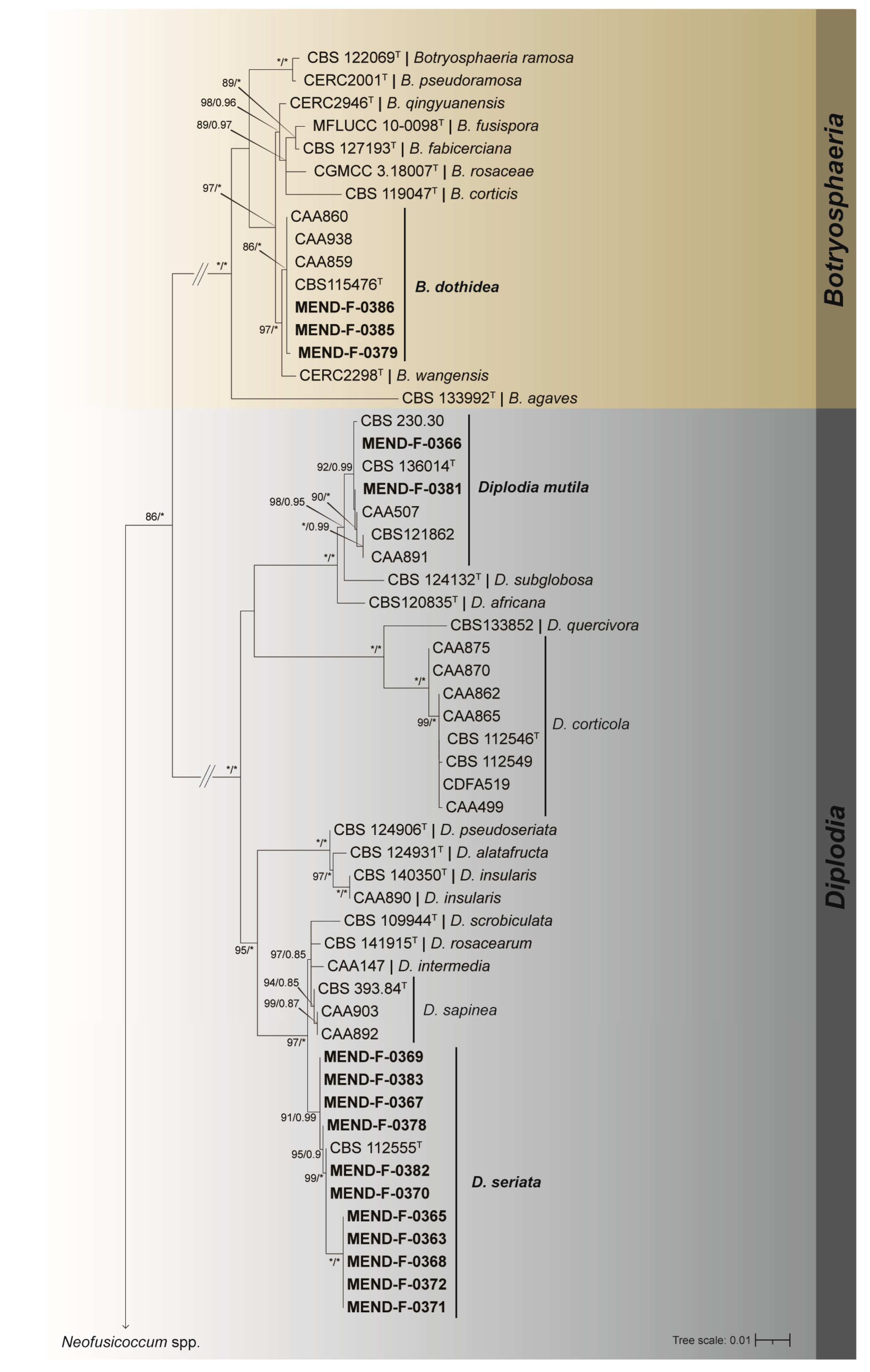 Diversity 15 00800 g002
