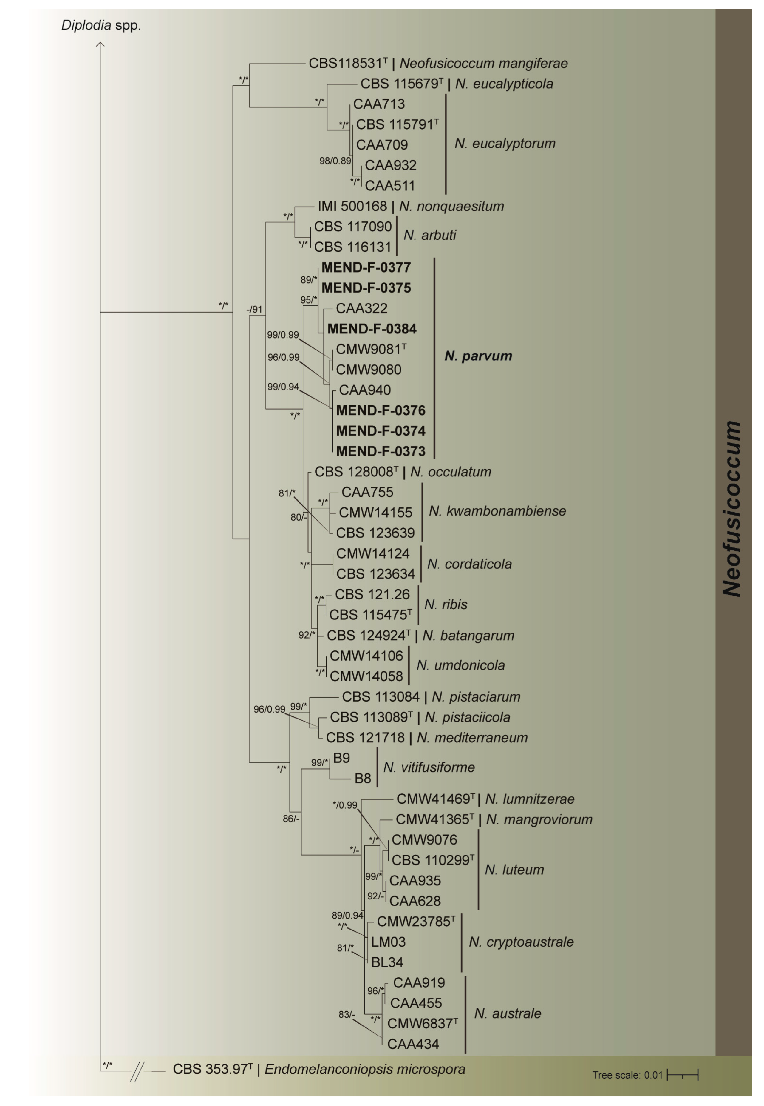 Diversity 15 00800 g003