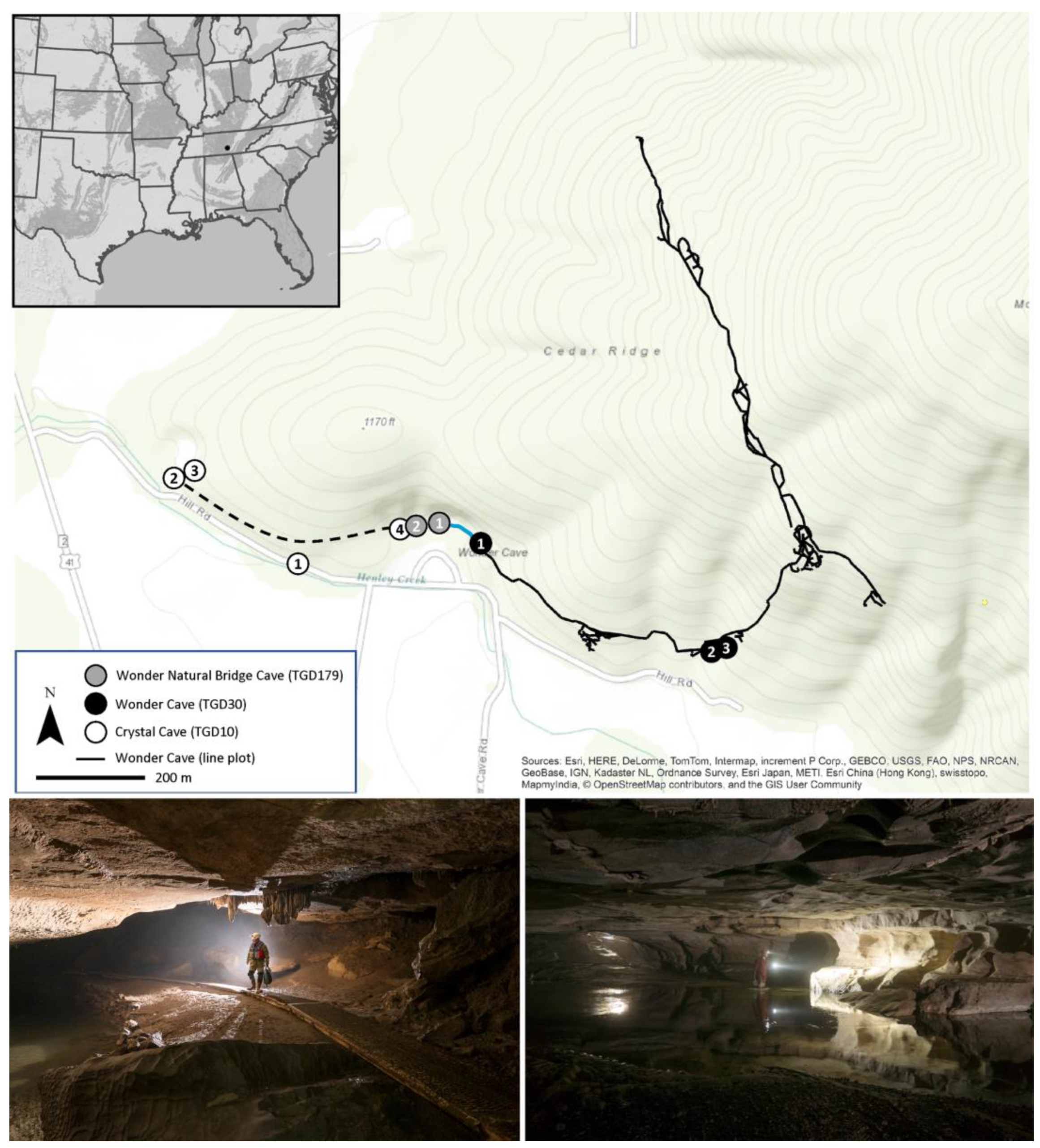 Diversity 15 00801 g001