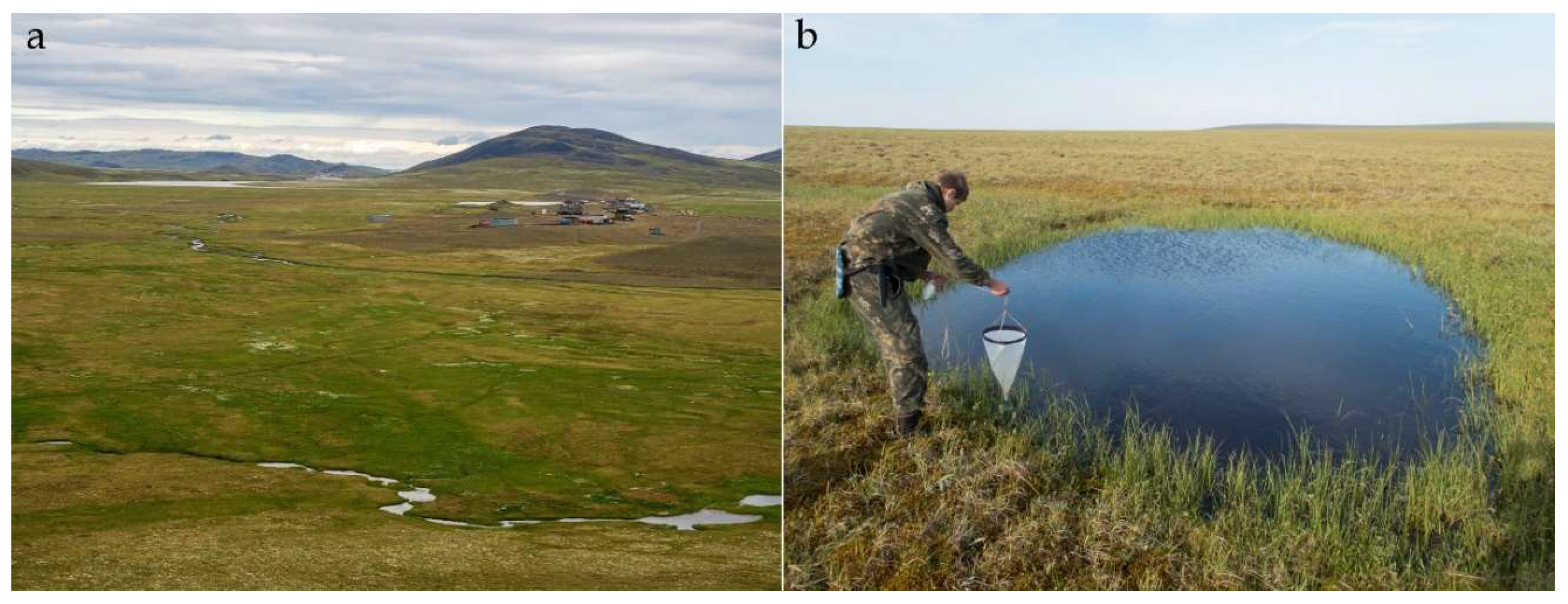 Diversity 15 00802 g002 Diversity 15 00802 g002