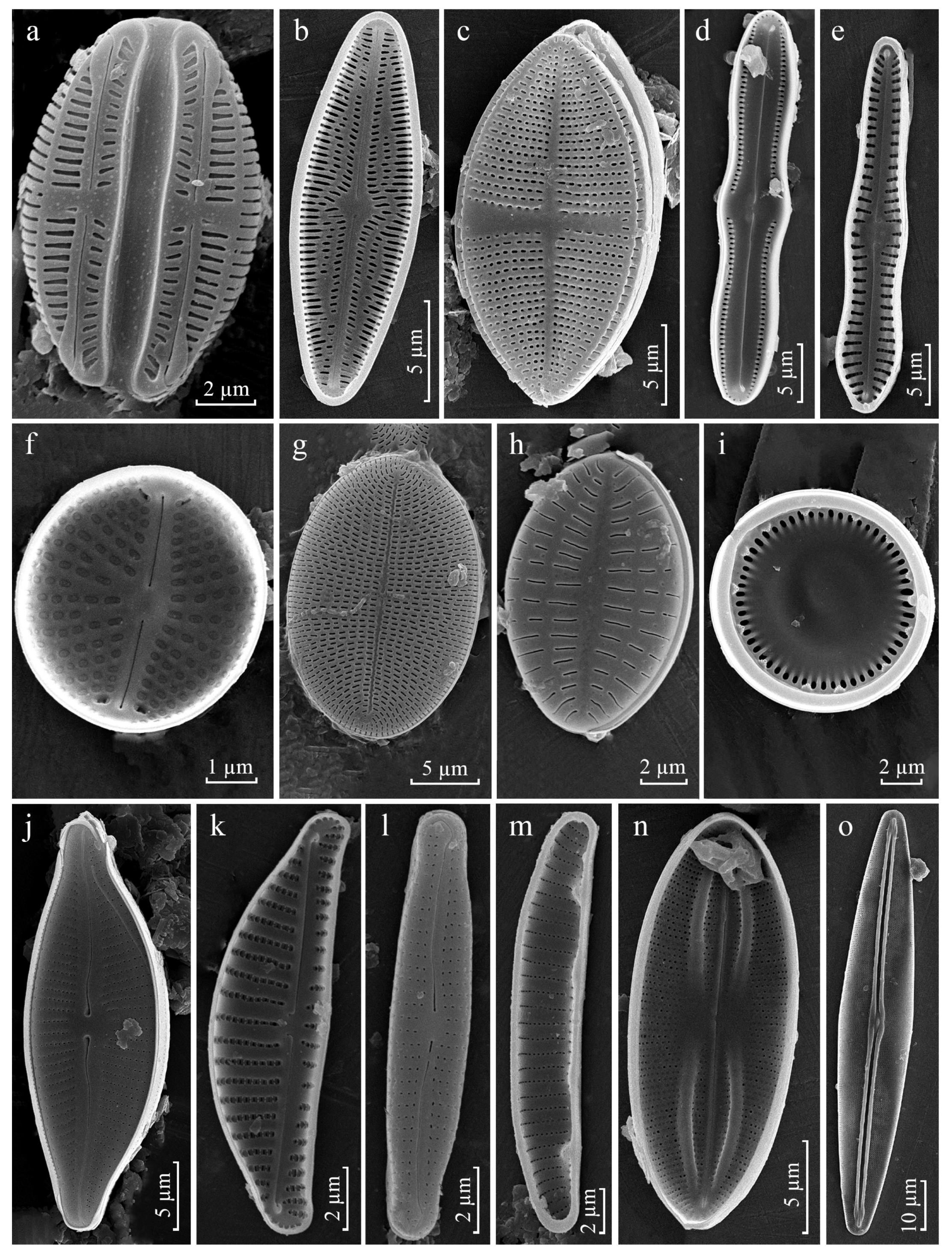 Diversity 15 00802 g0a1 Diversity 15 00802 g0a1