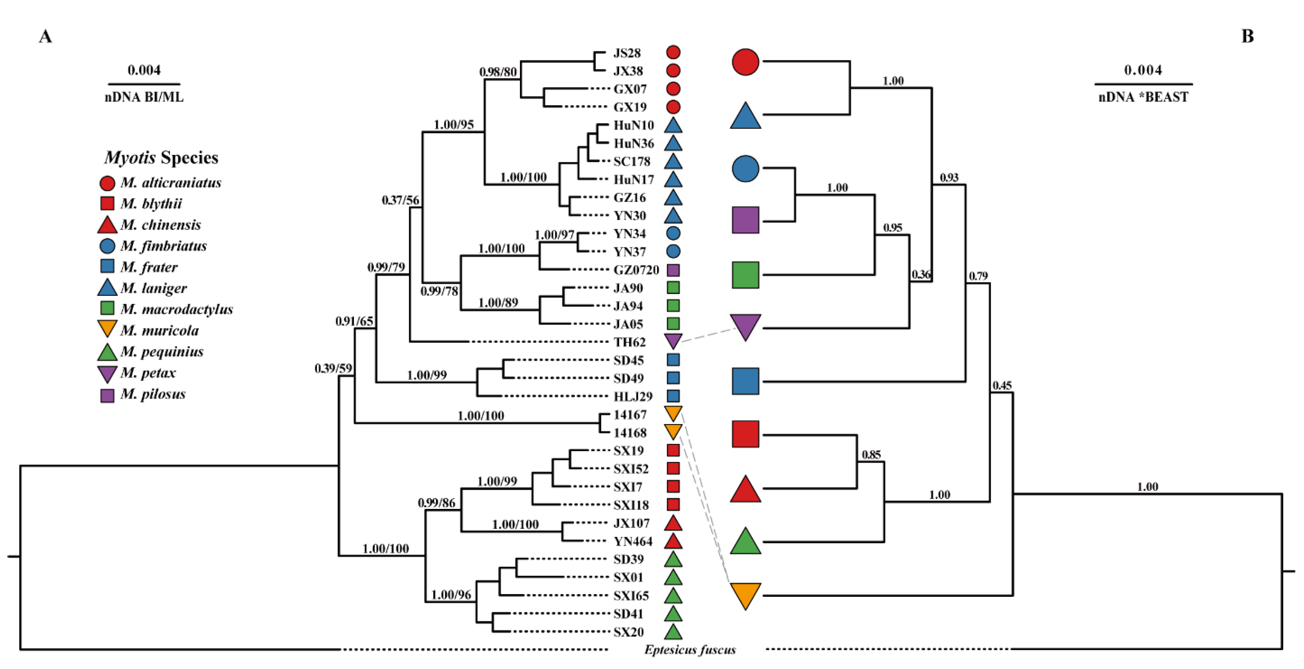 Diversity 15 00805 g003
