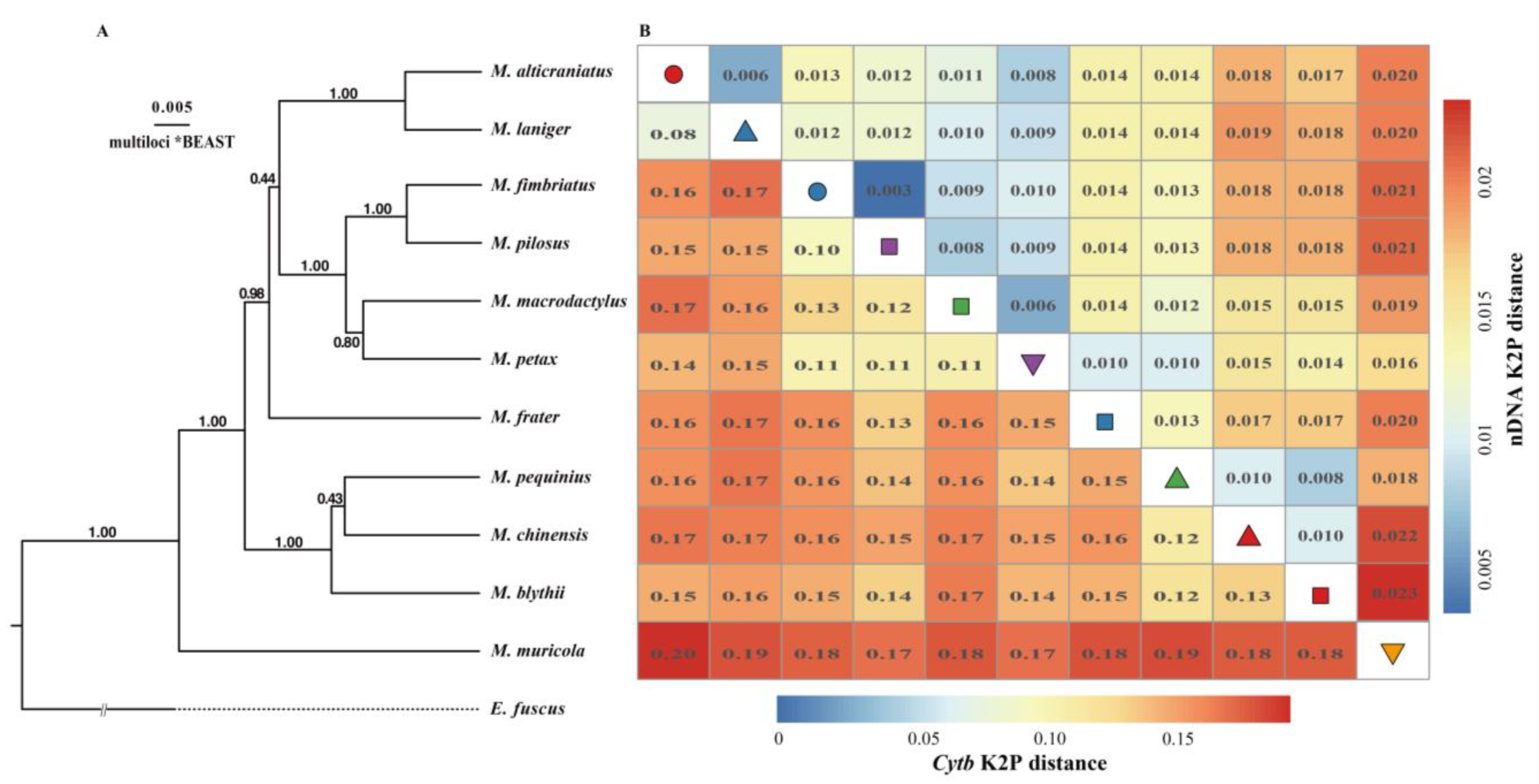 Diversity 15 00805 g004