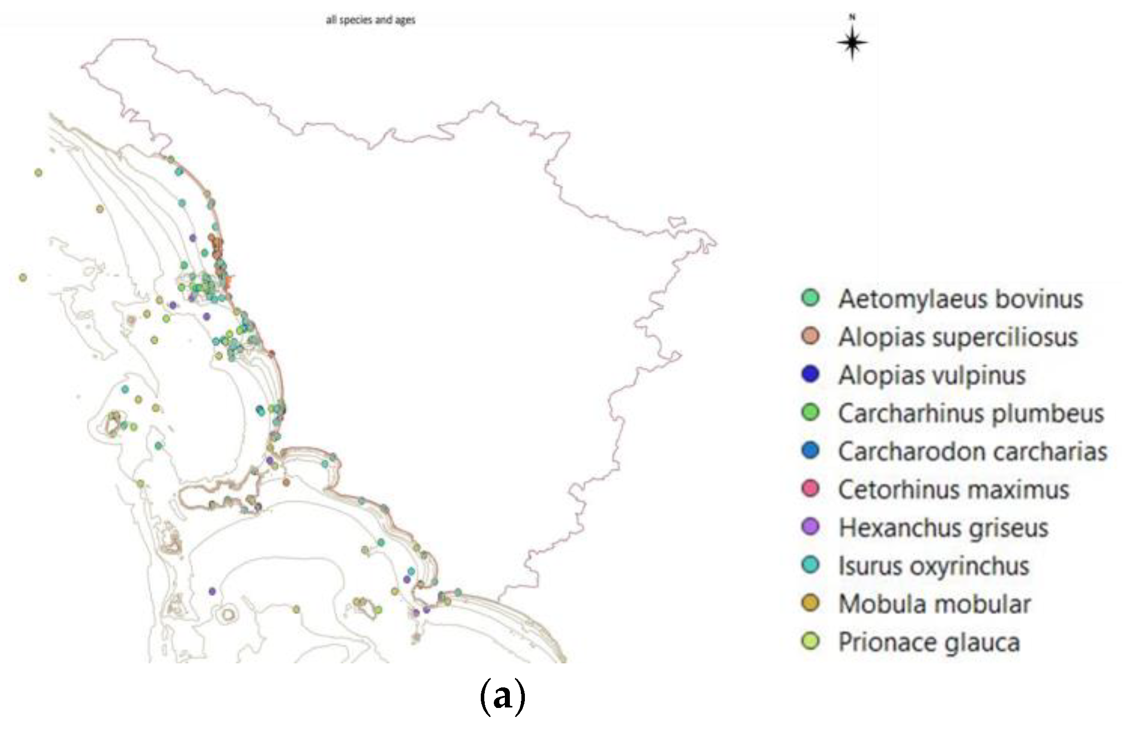 Diversity 15 00806 g005a