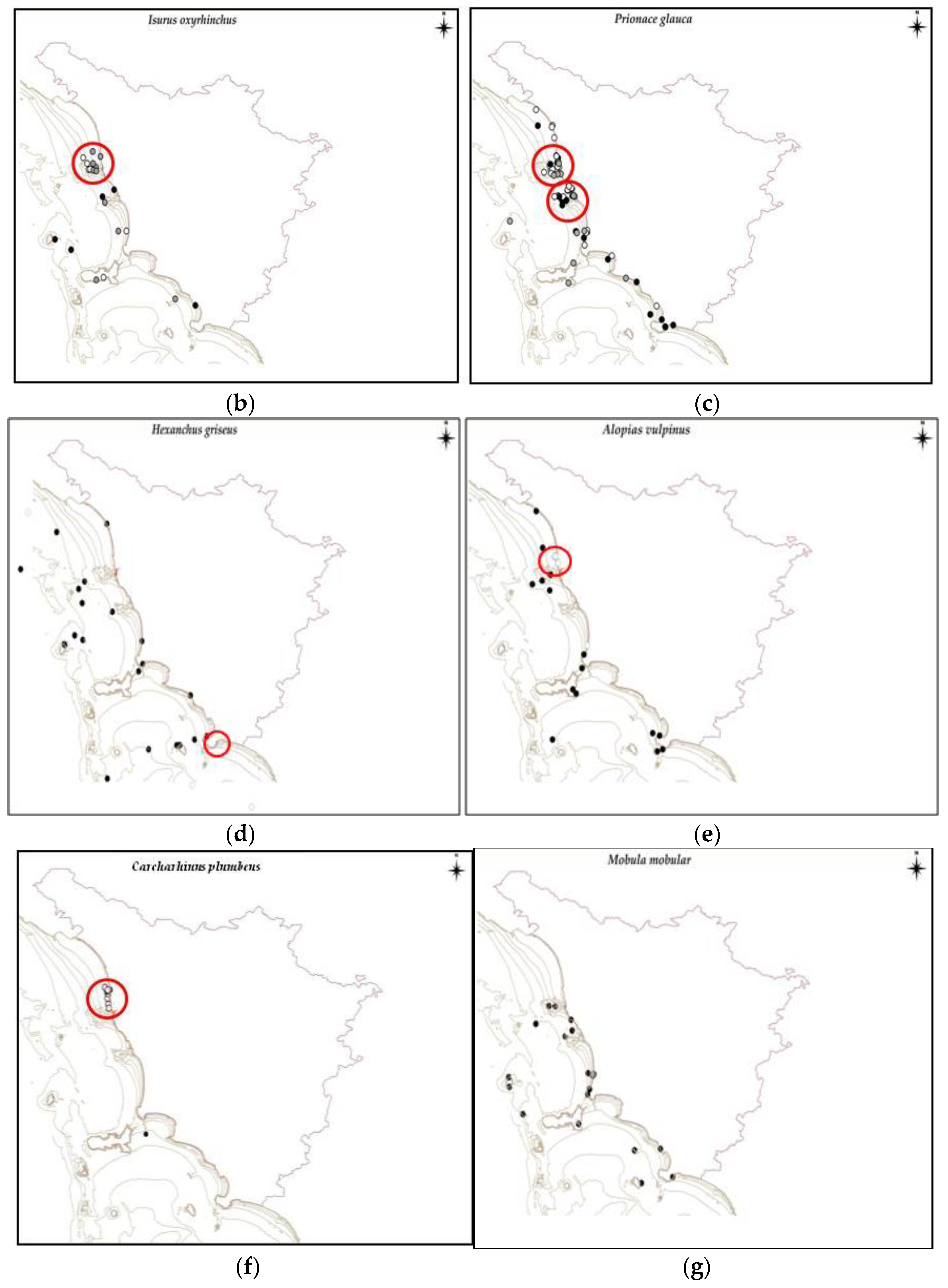 Diversity 15 00806 g005b