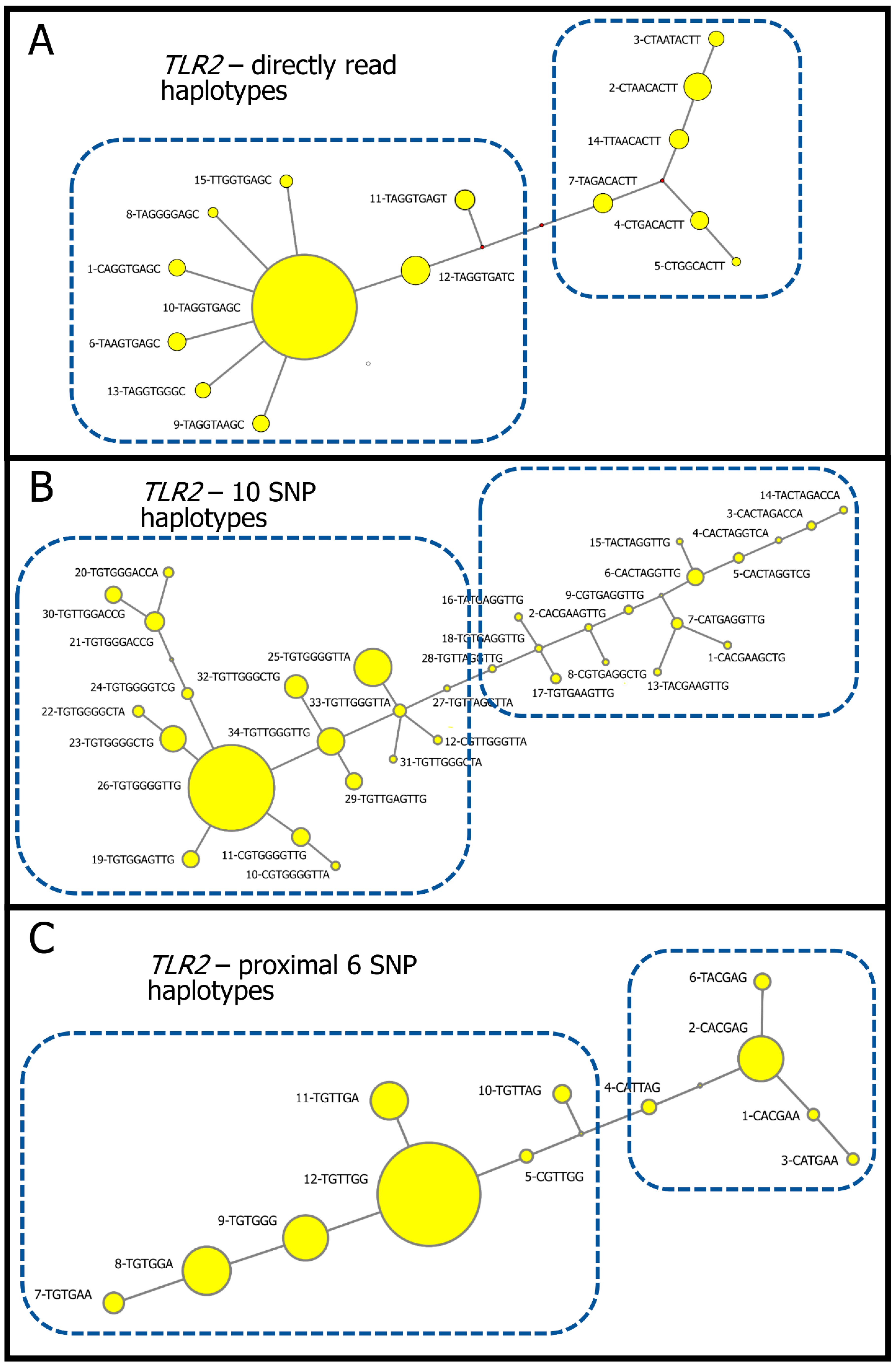 Diversity 15 00811 g001