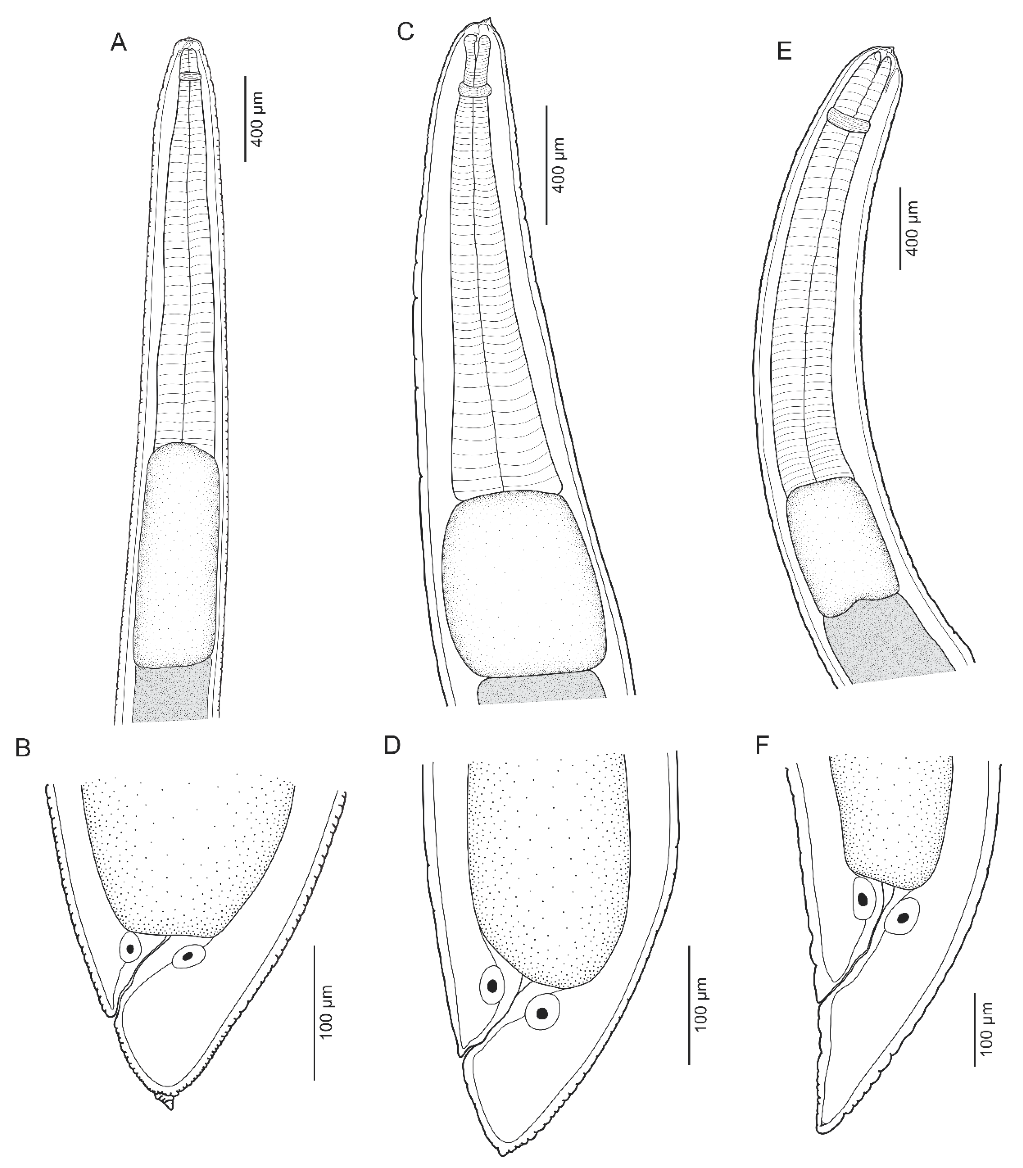 Diversity 15 00820 g001 Diversity 15 00820 g001